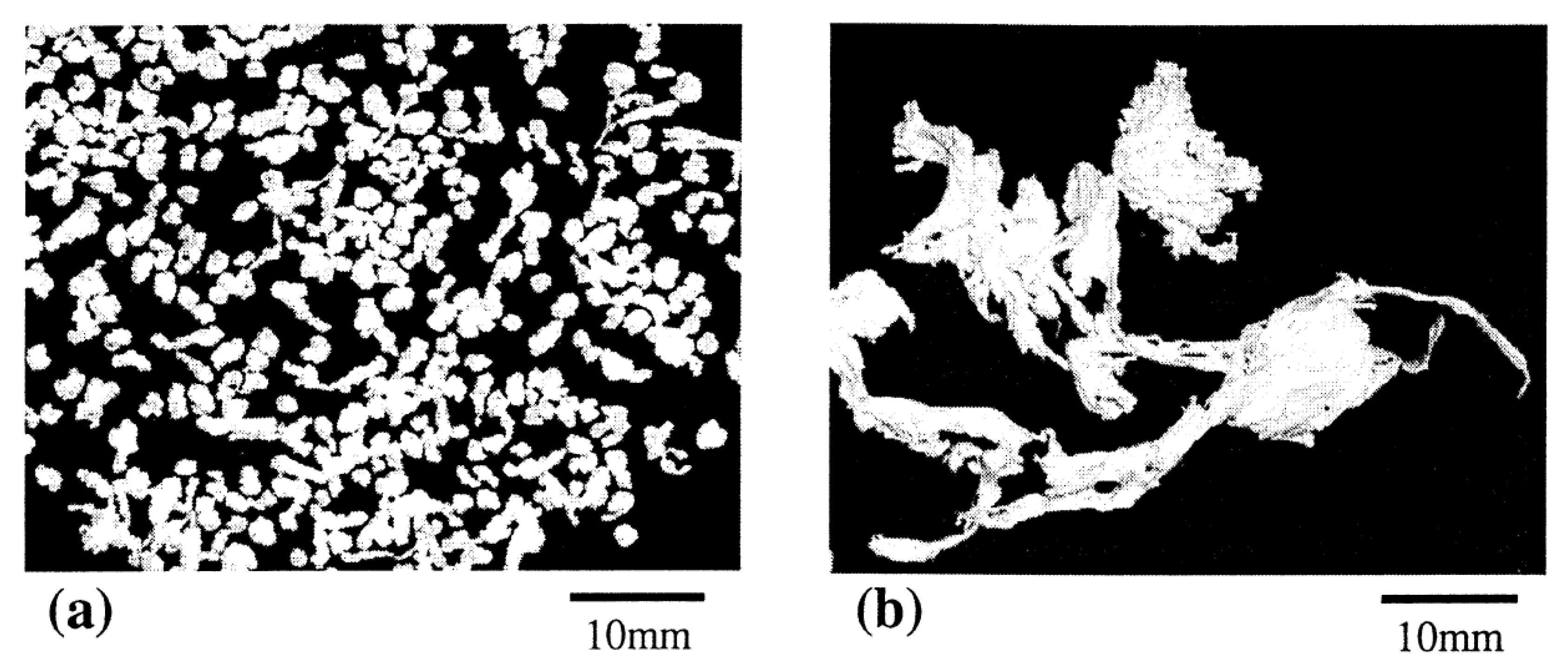 Polymers 15 03095 g004 Polymers 15 03095 g004