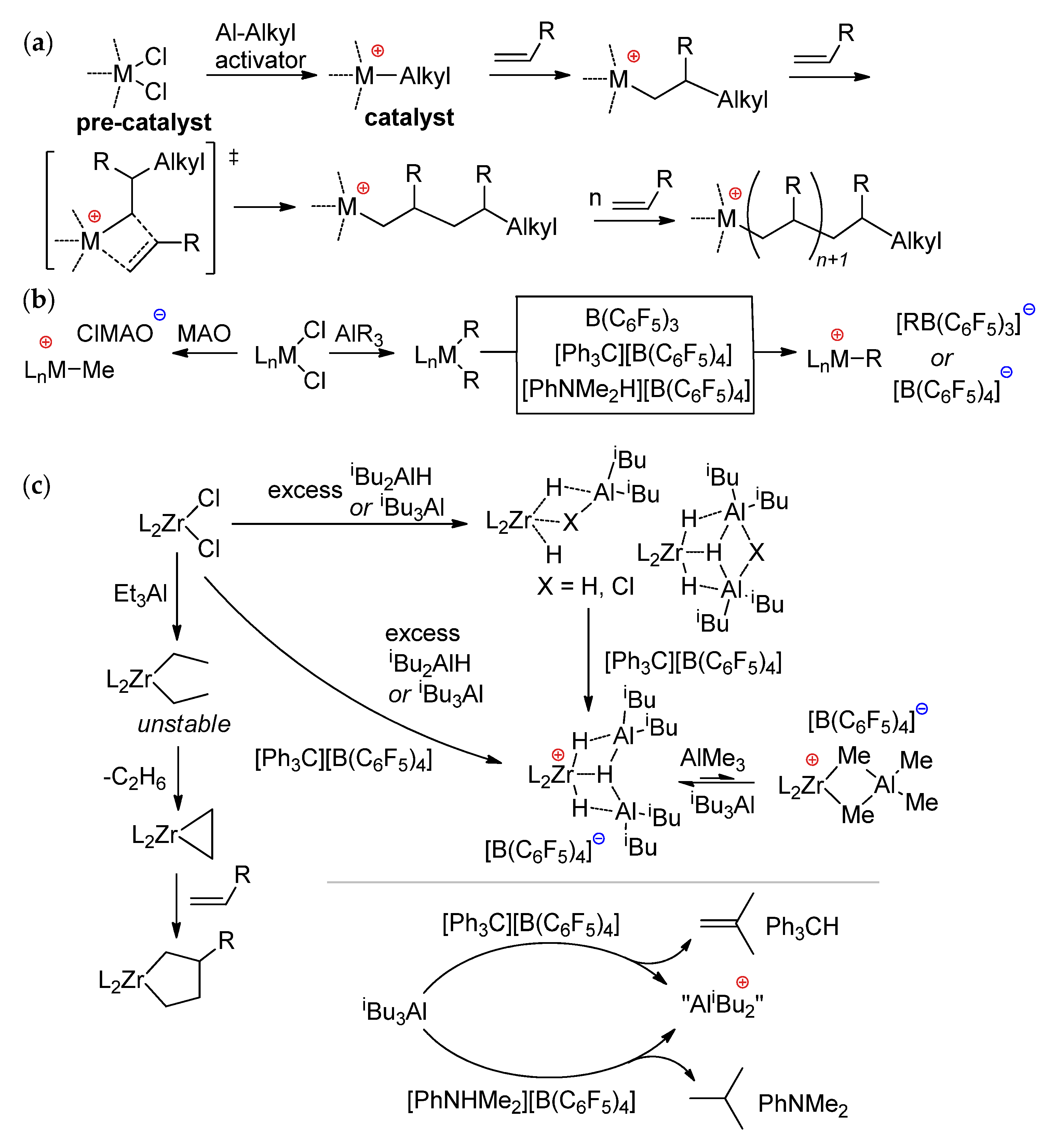 Polymers 15 03095 sch001 Polymers 15 03095 sch001