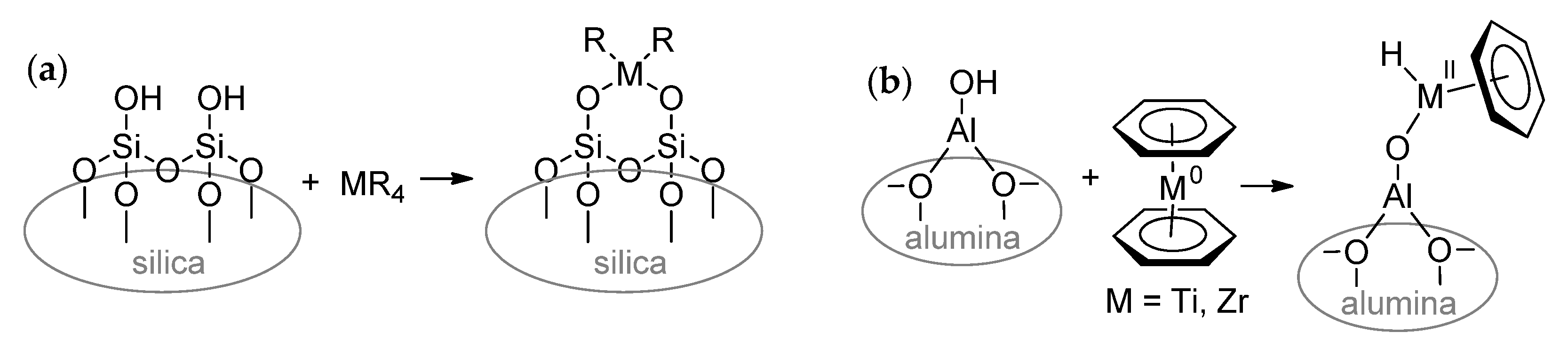 Polymers 15 03095 sch003 Polymers 15 03095 sch003