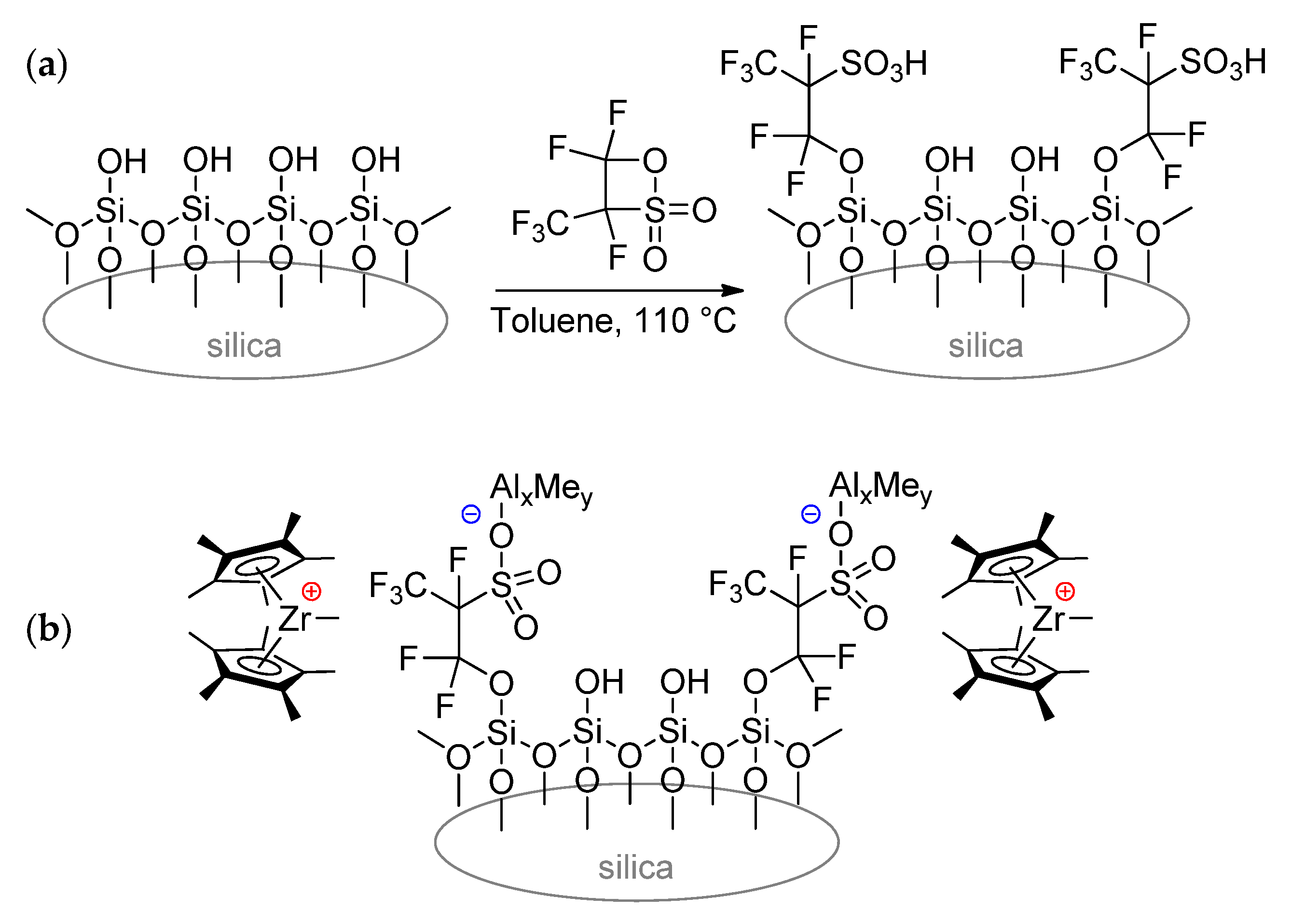 Polymers 15 03095 sch024 Polymers 15 03095 sch024