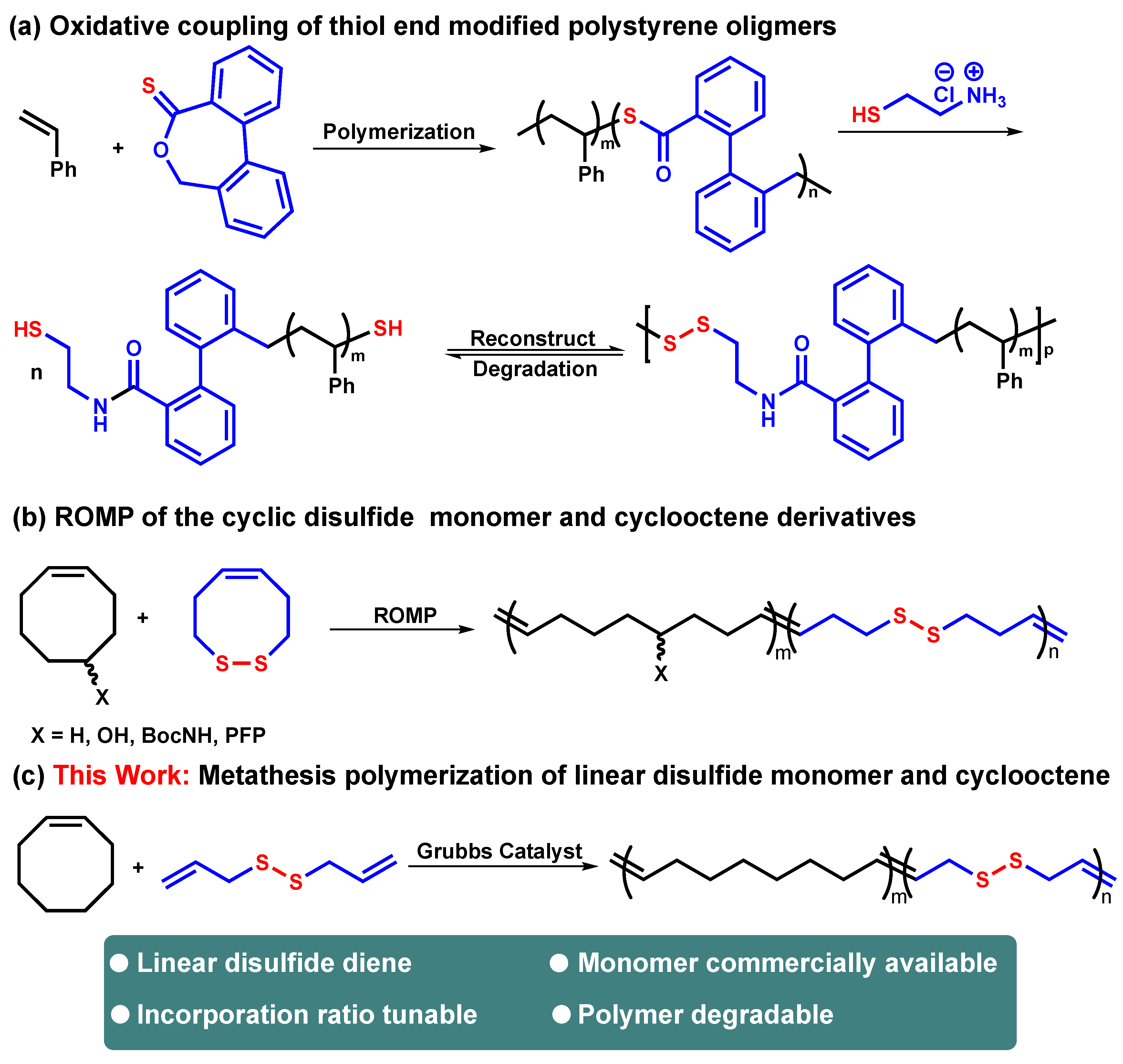 Polymers 15 03101 sch001