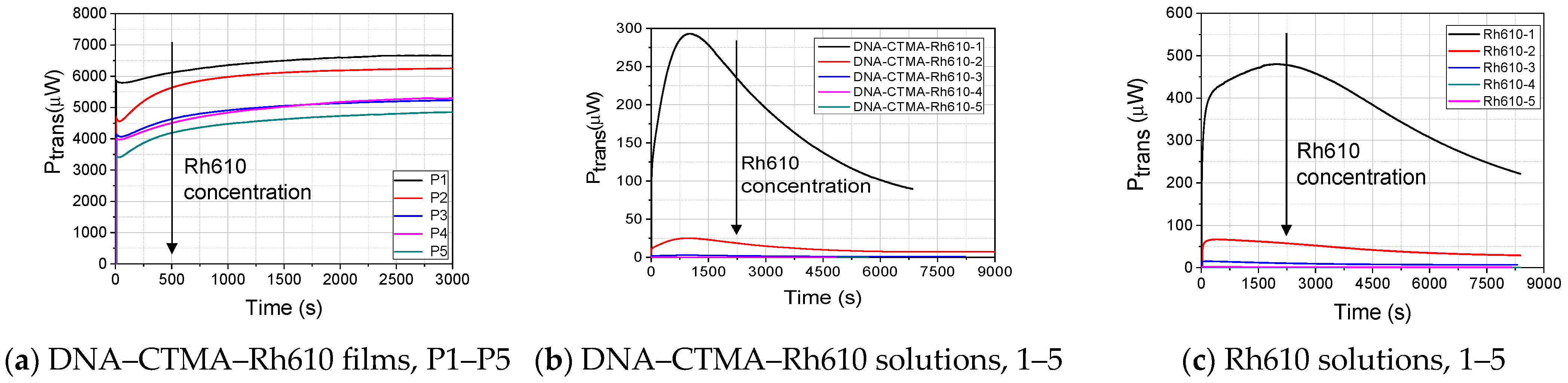 Polymers 15 03105 g002