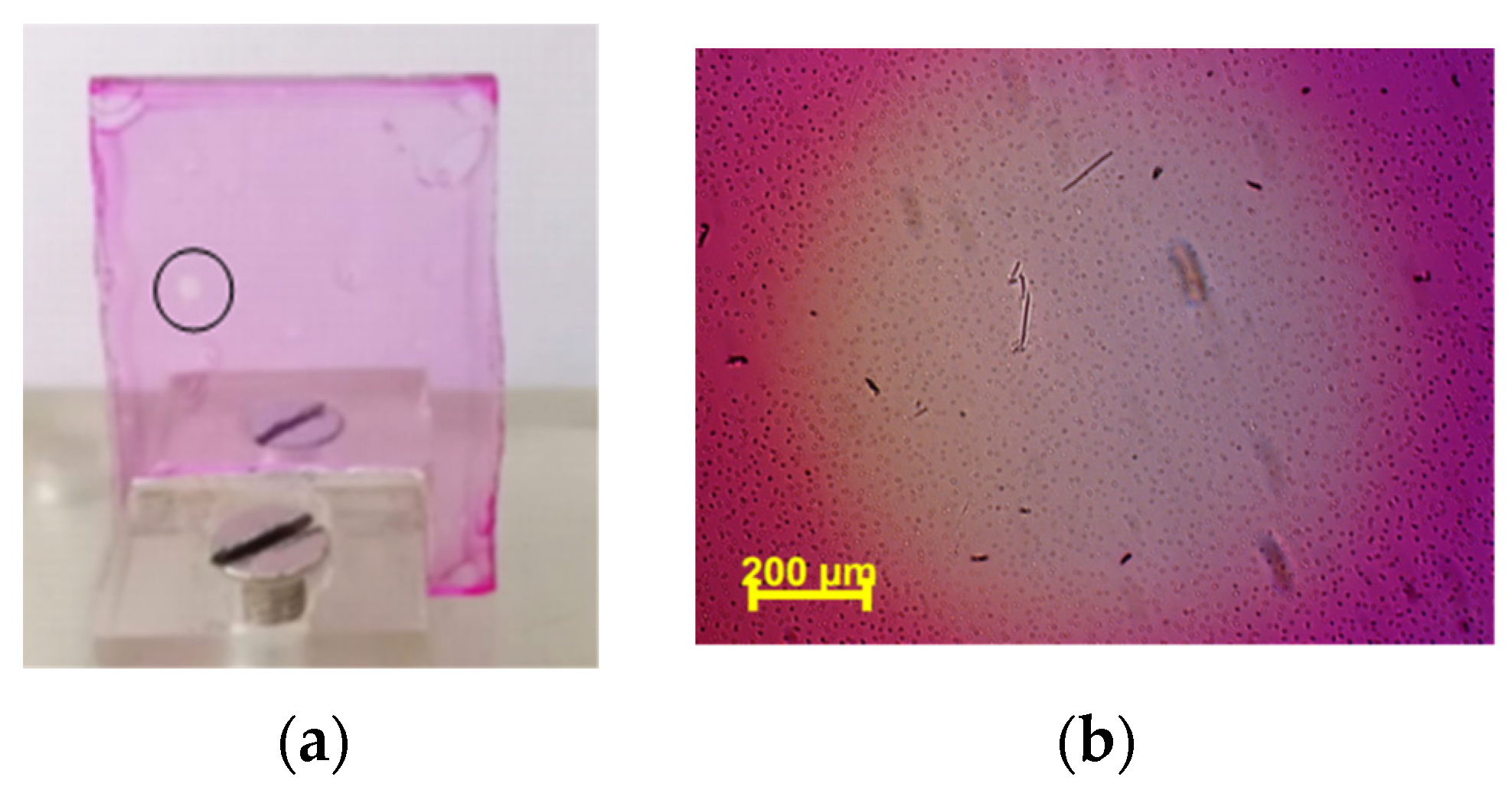 Polymers 15 03105 g003
