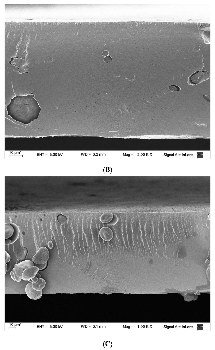 Polymers 15 03106 g002b Polymers 15 03106 g002b