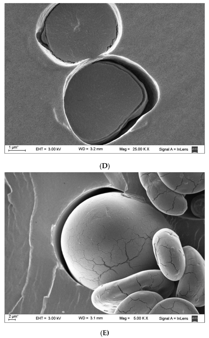 Polymers 15 03106 g002c Polymers 15 03106 g002c