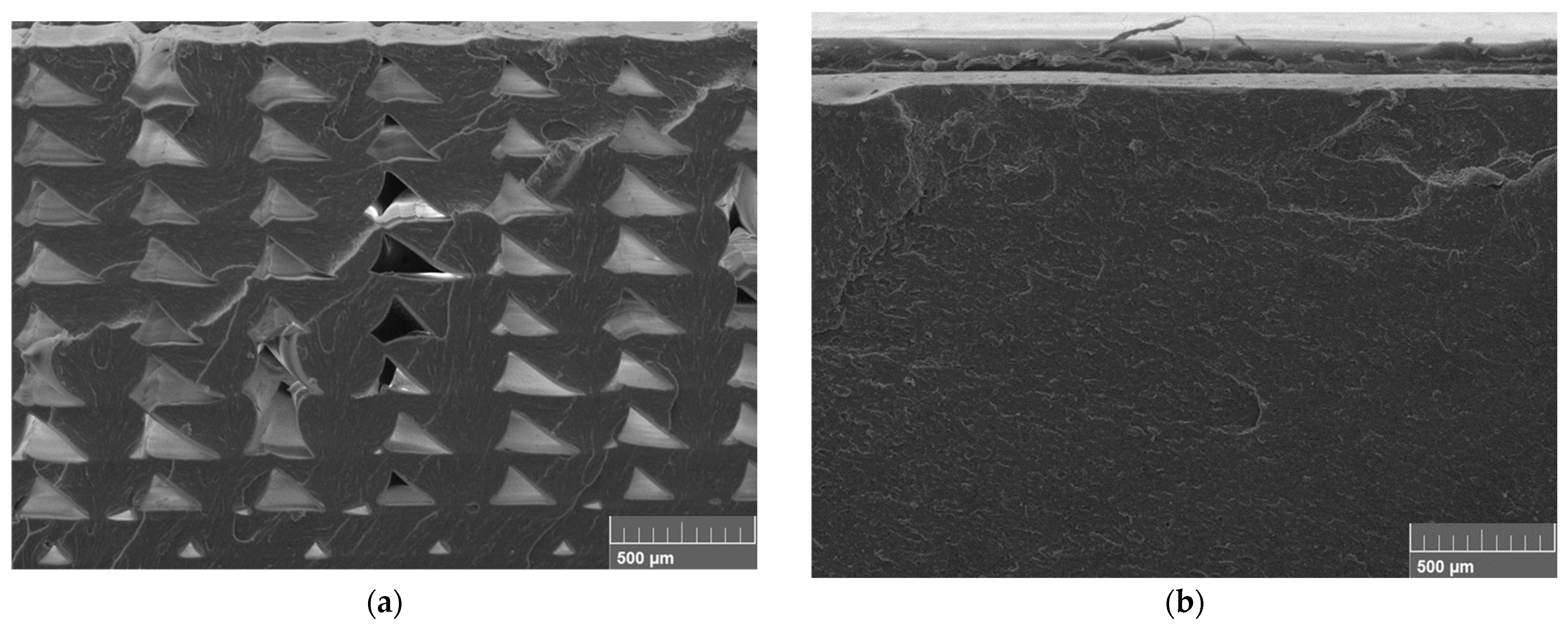 Polymers 15 03110 g014 Polymers 15 03110 g014