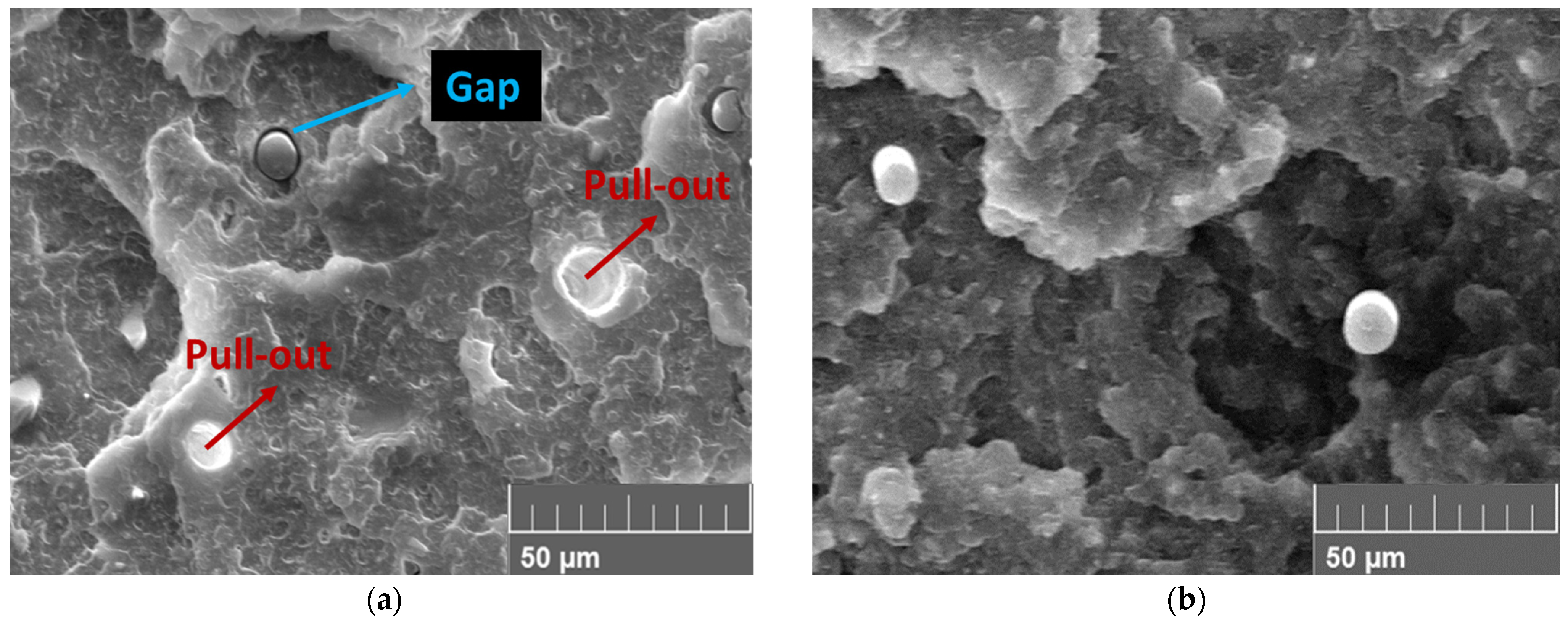 Polymers 15 03110 g015 Polymers 15 03110 g015
