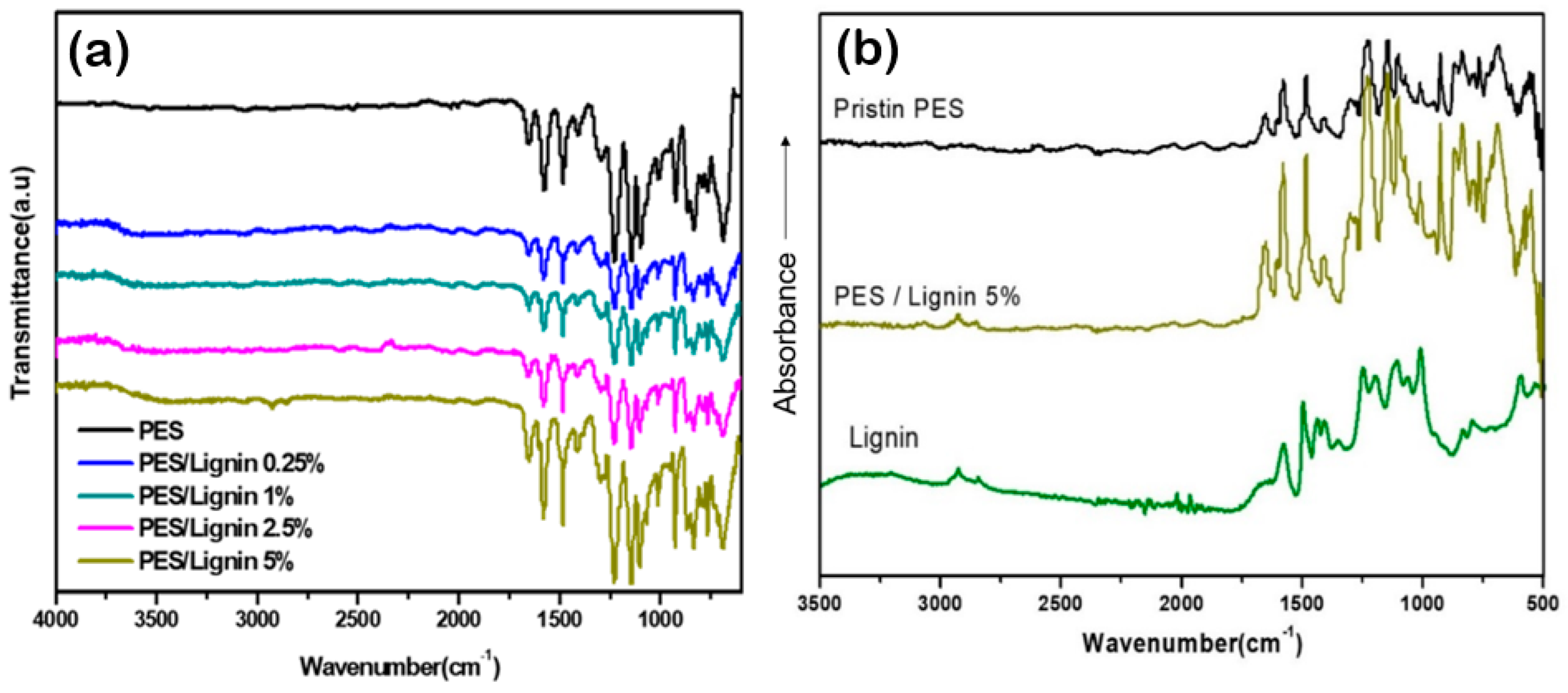 Polymers 15 03113 g001 Polymers 15 03113 g001
