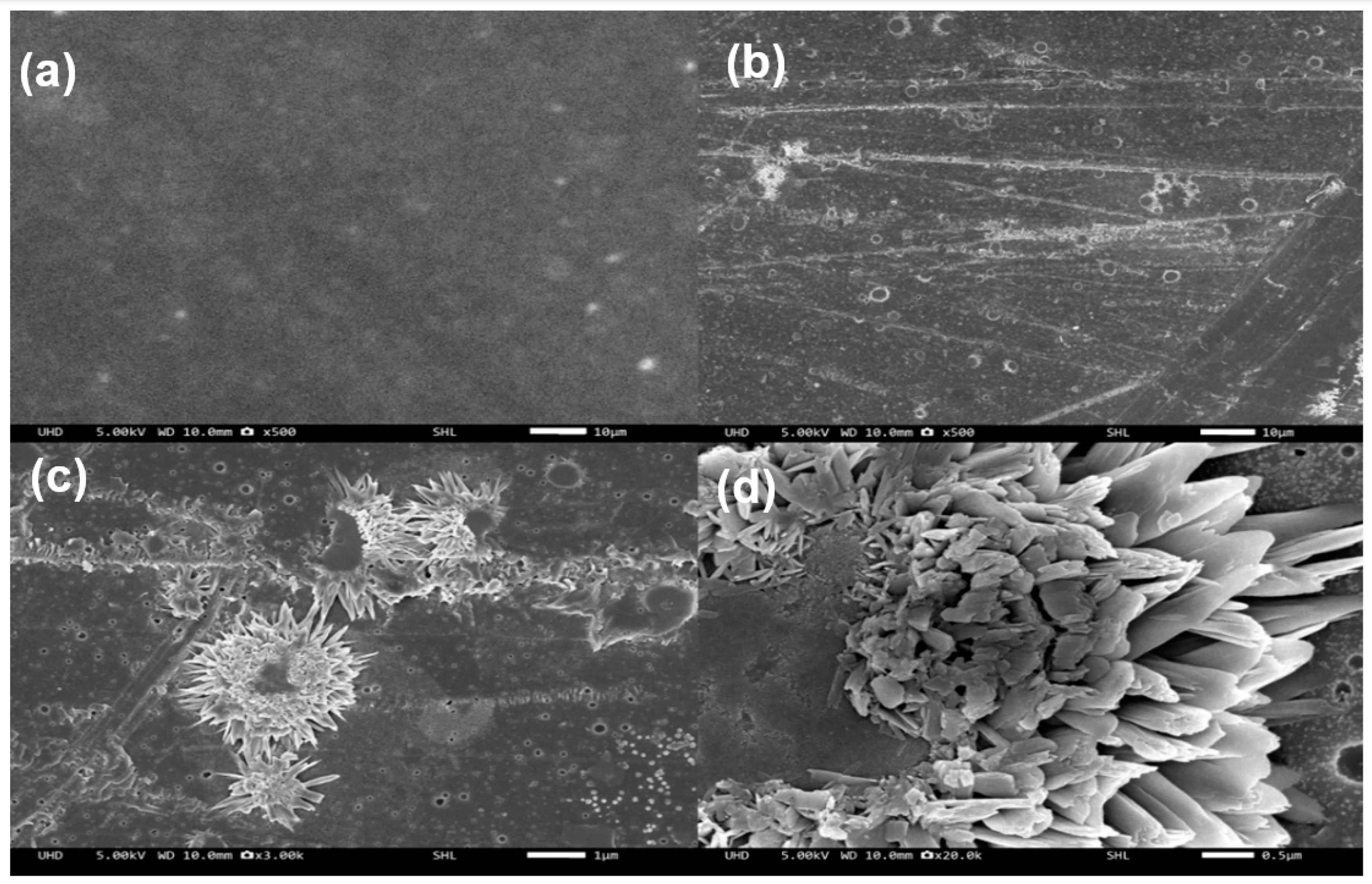 Polymers 15 03113 g002 Polymers 15 03113 g002
