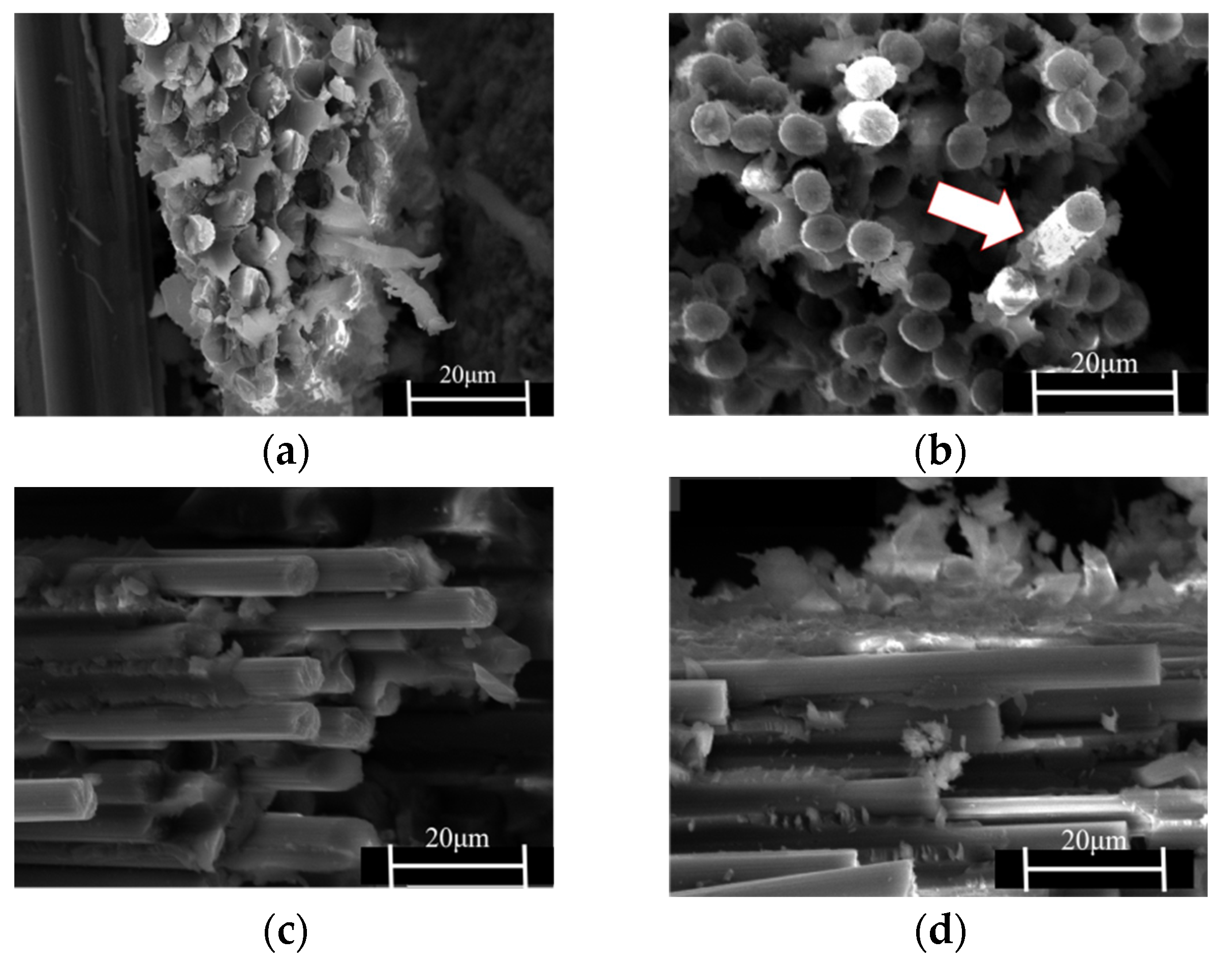 Polymers 15 03117 g010 Polymers 15 03117 g010