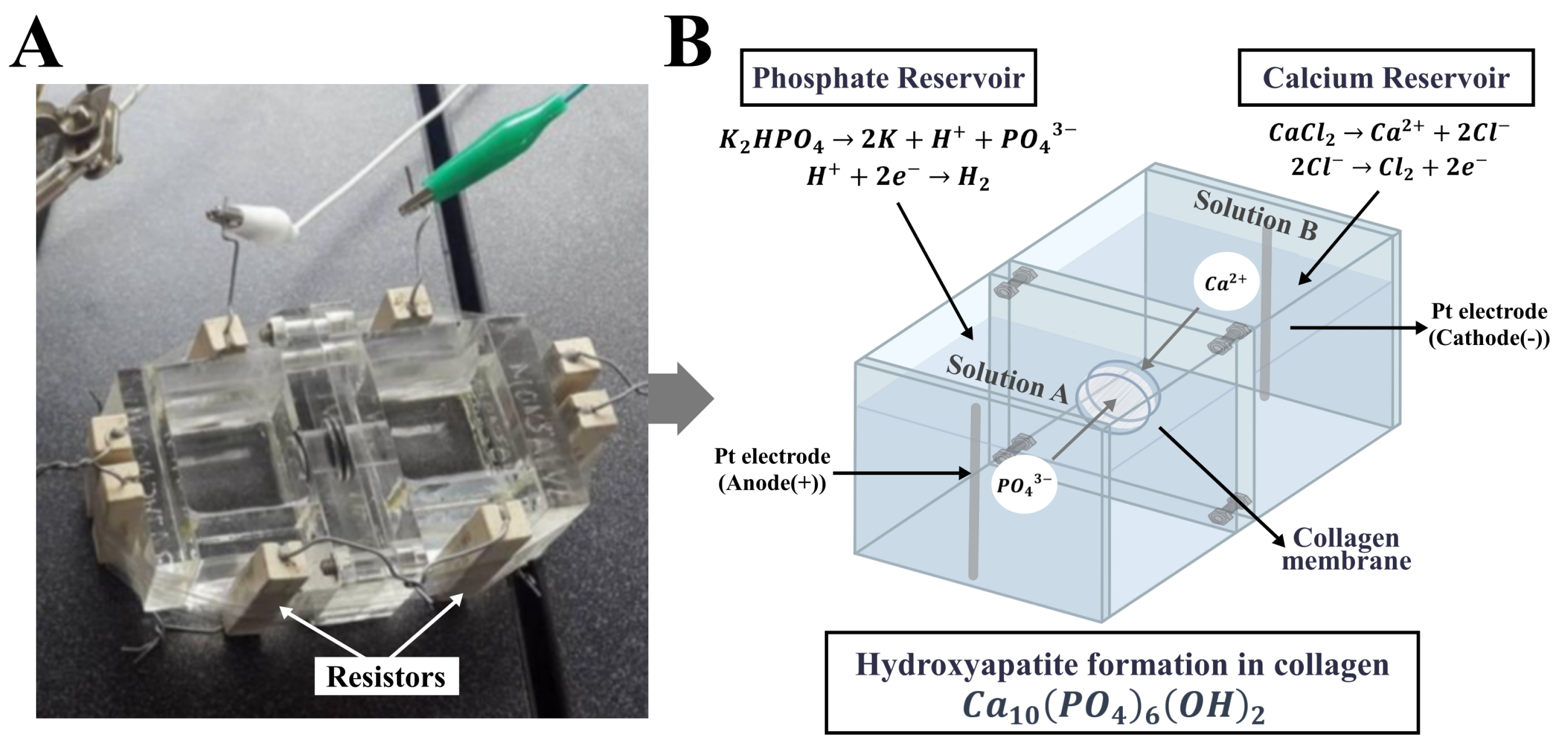 Polymers 15 03121 g002