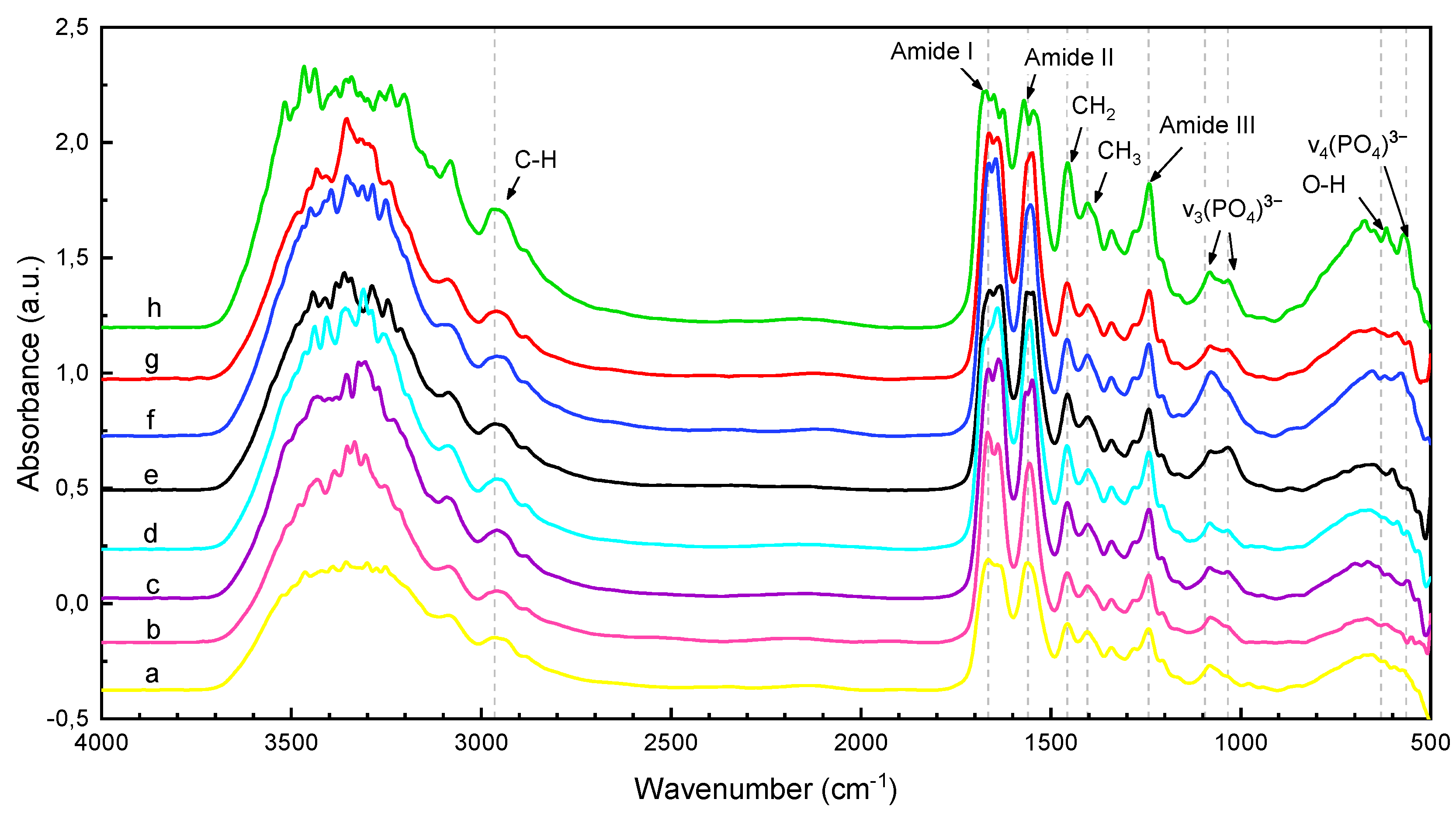 Polymers 15 03121 g003