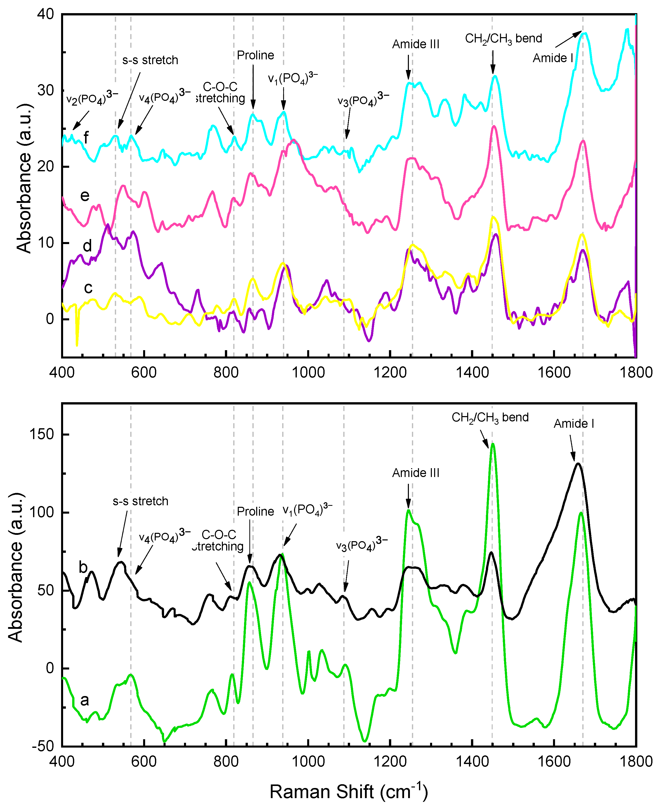 Polymers 15 03121 g004