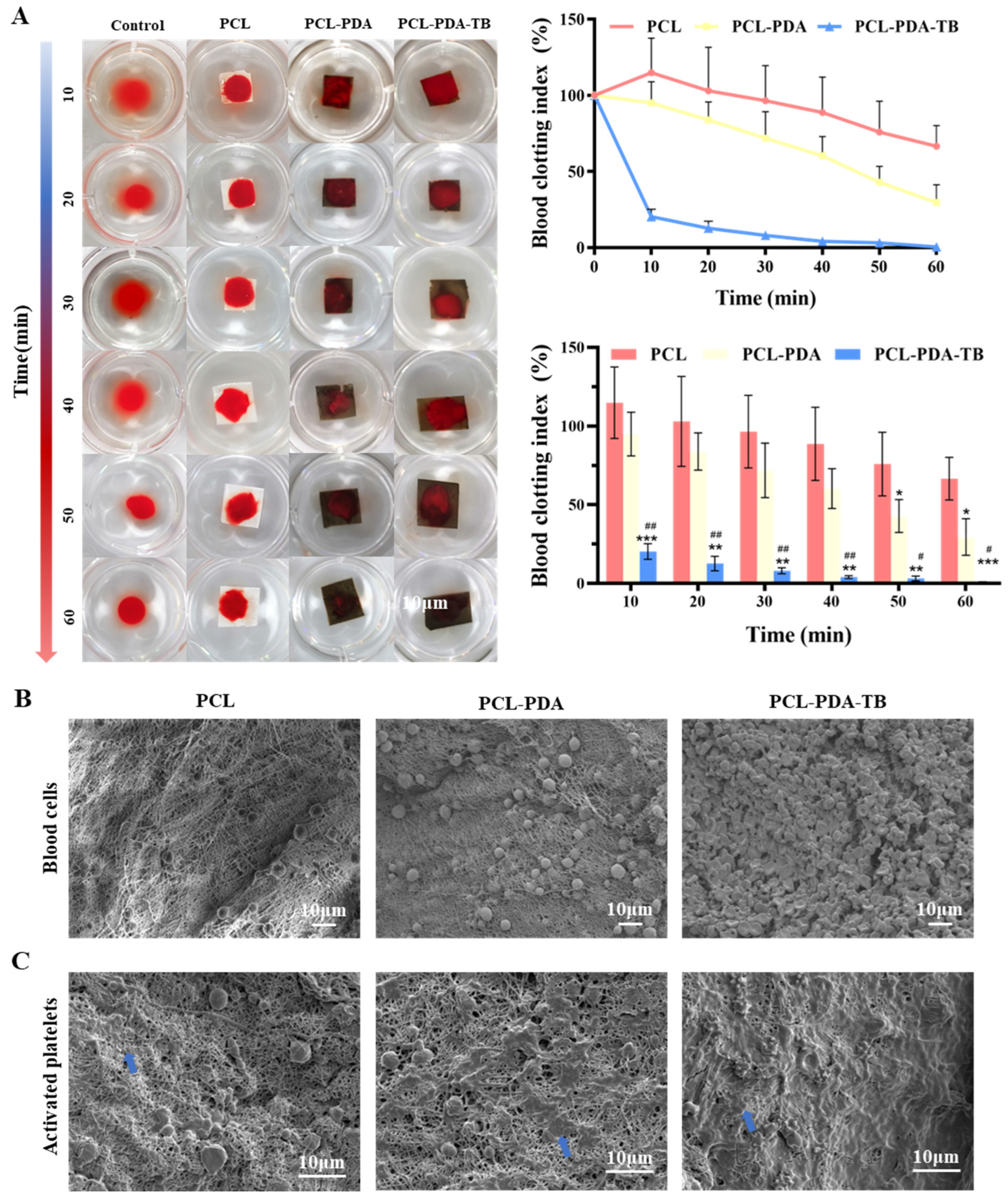 Polymers 15 03122 g005 Polymers 15 03122 g005