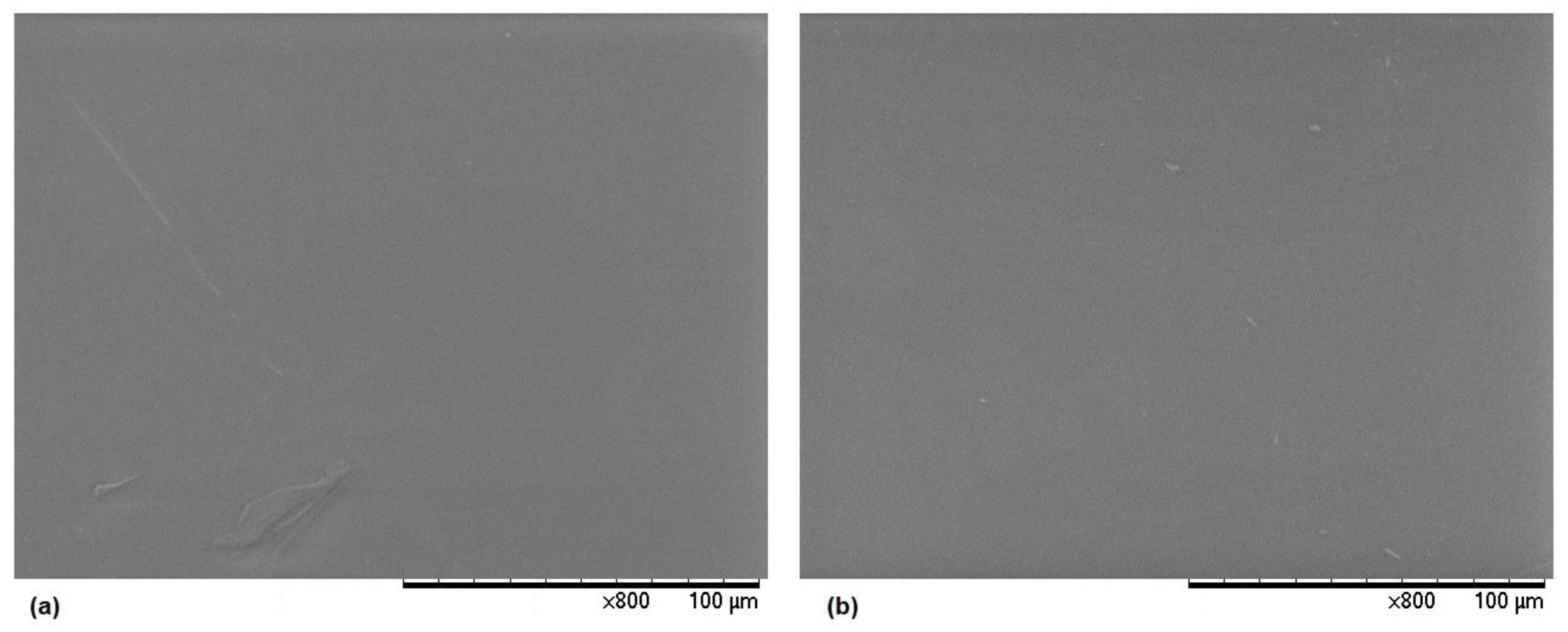 Polymers 15 03125 g004