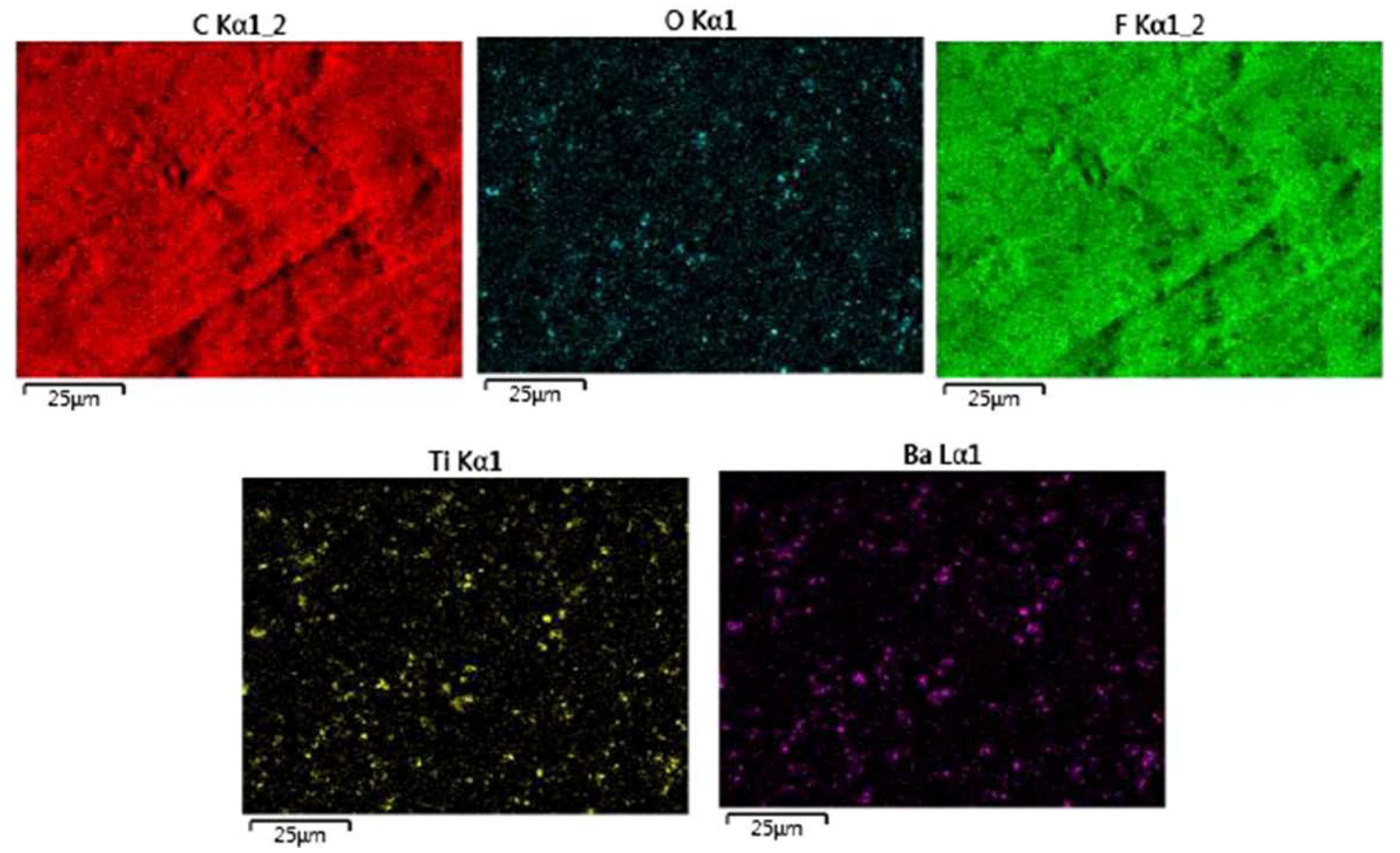 Polymers 15 03126 g003