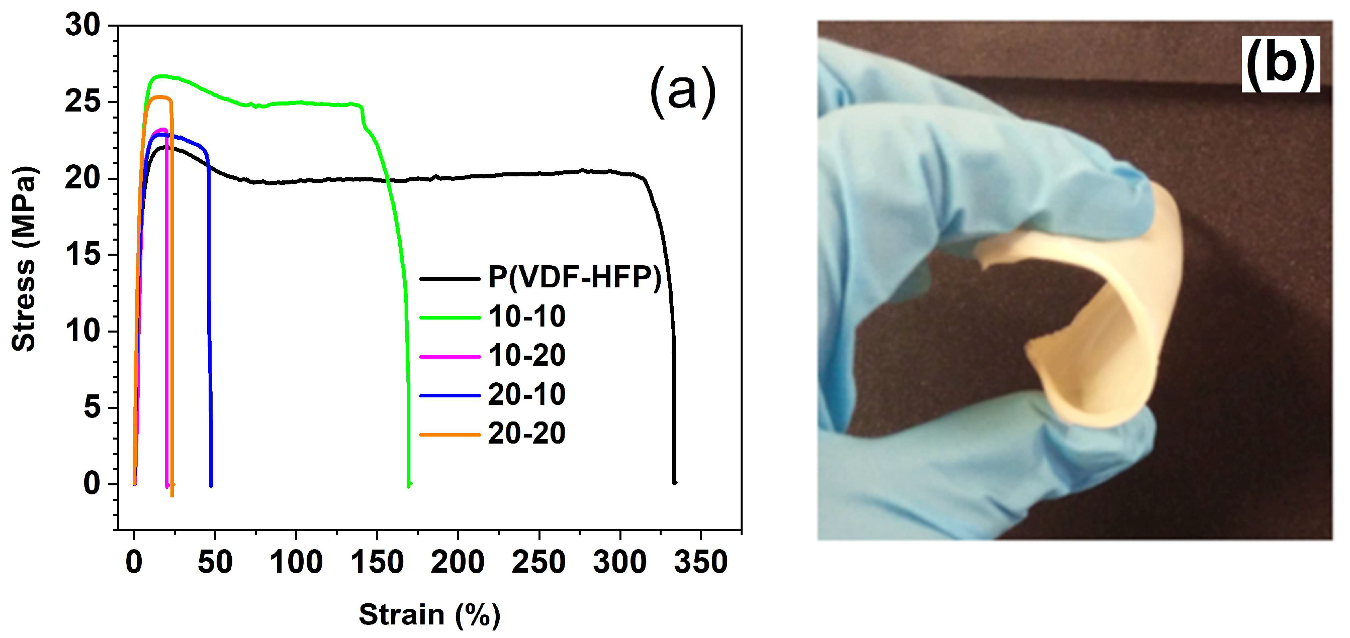 Polymers 15 03126 g014