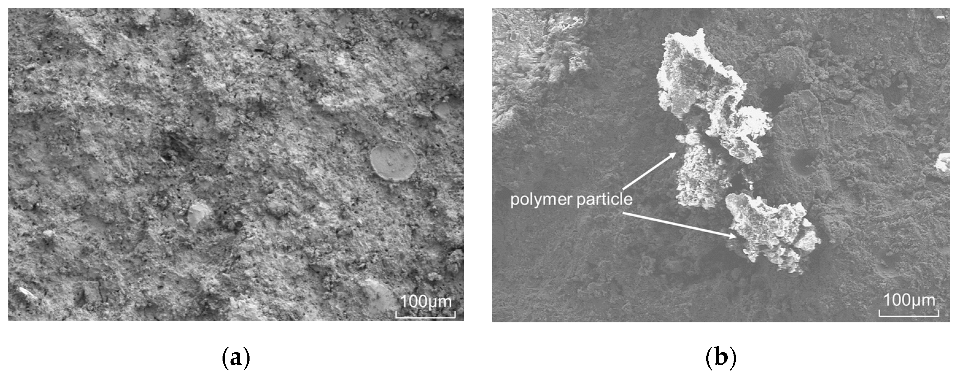 Polymers 15 03130 g007 Polymers 15 03130 g007
