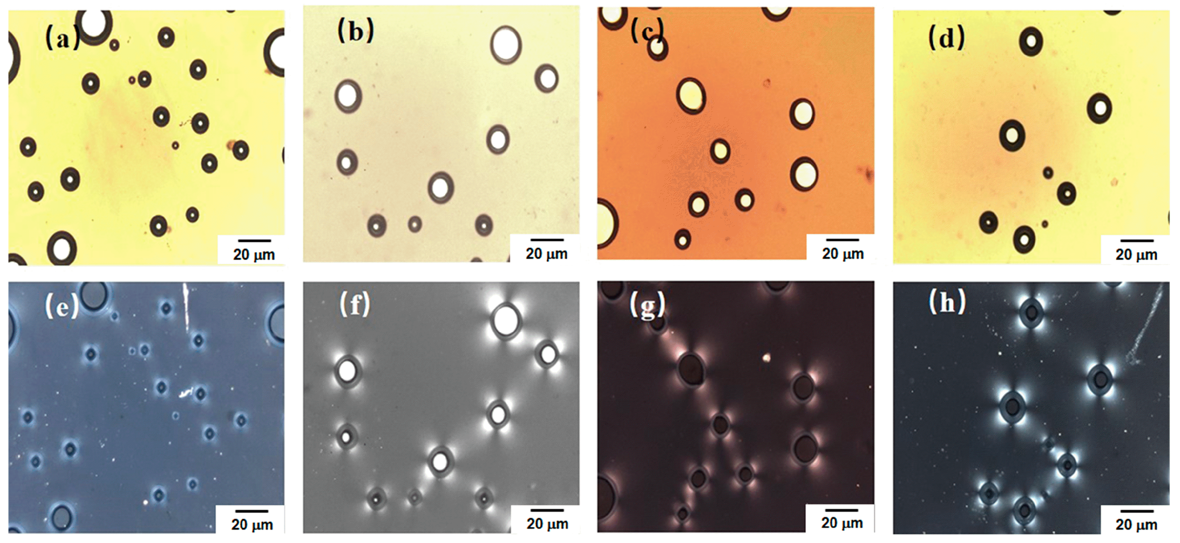 Polymers 15 03134 g007 Polymers 15 03134 g007