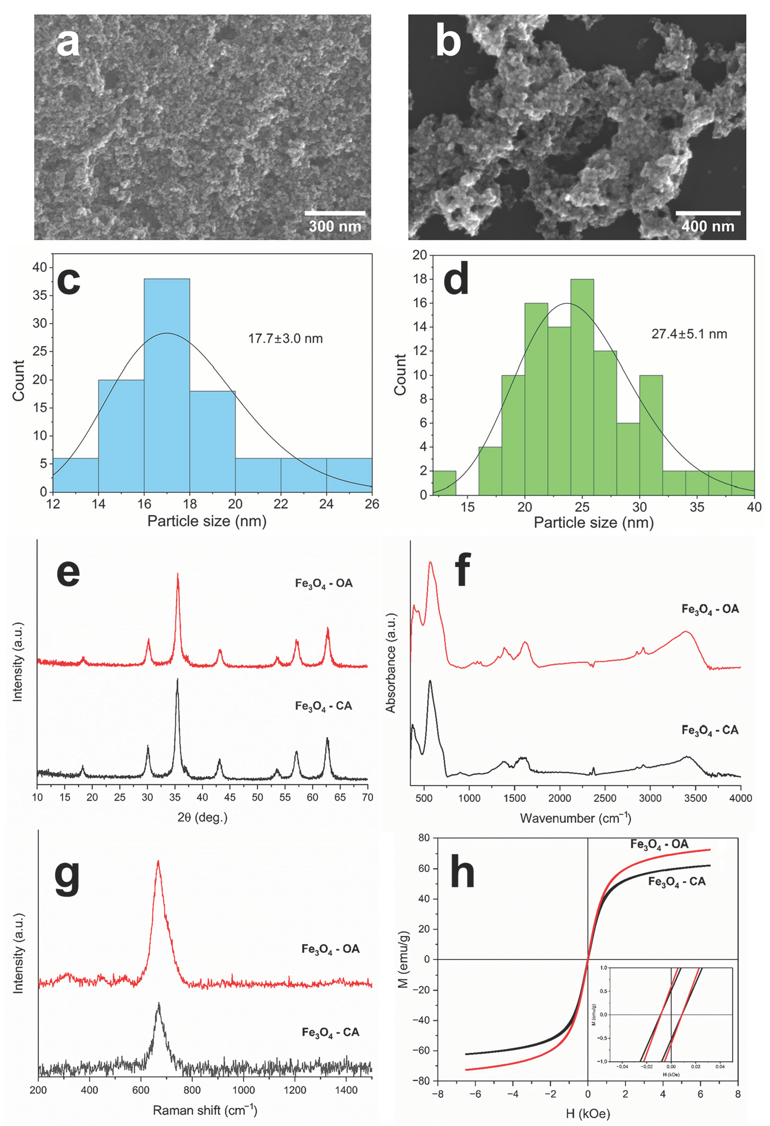 Polymers 15 03135 g002