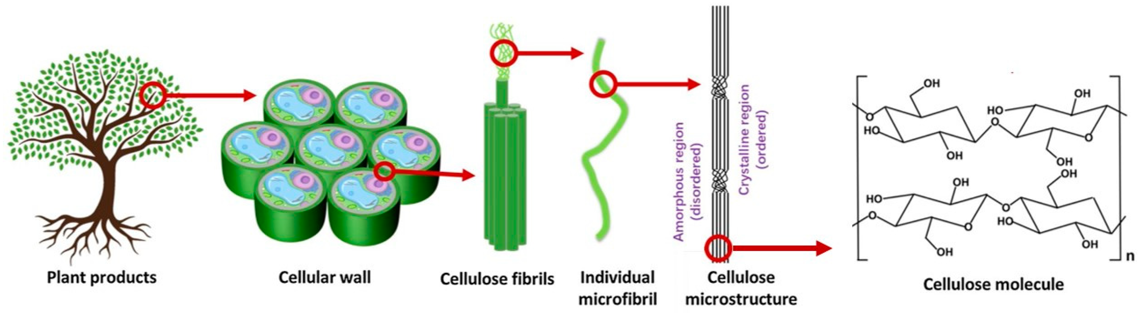 Polymers 15 03138 g001 Polymers 15 03138 g001