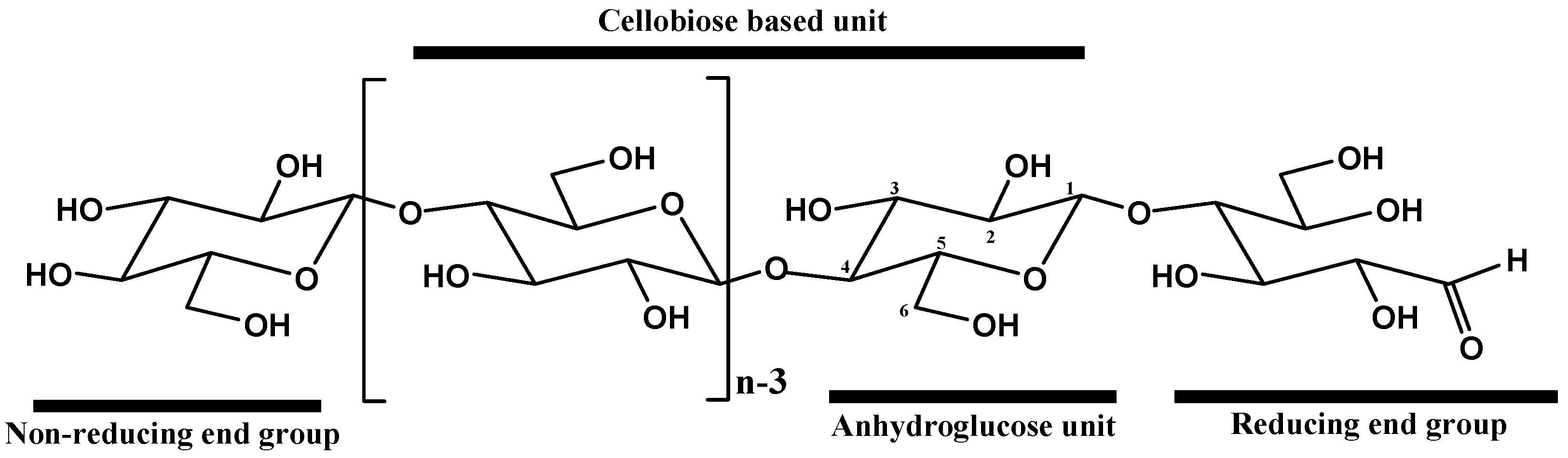 Polymers 15 03138 g003 Polymers 15 03138 g003