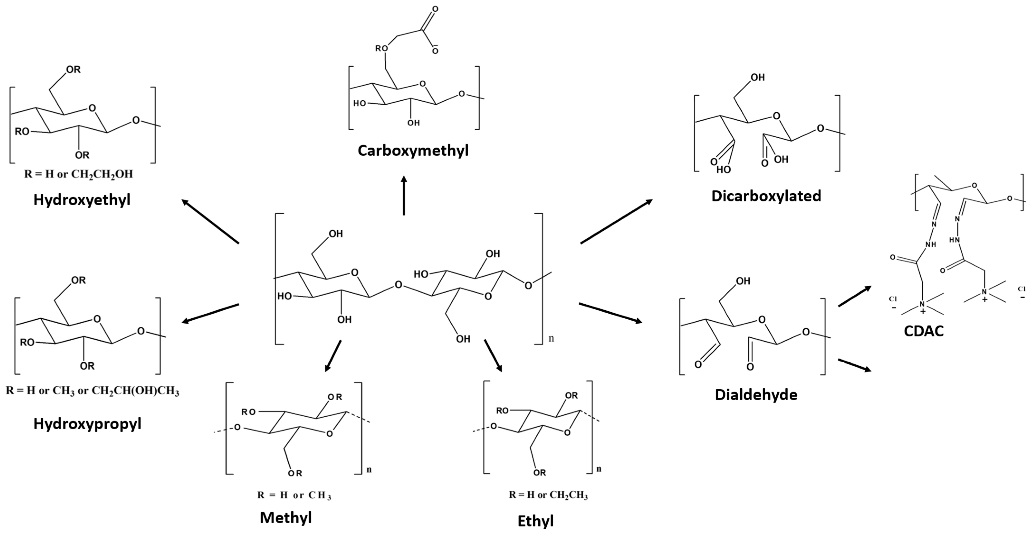 Polymers 15 03138 g005 Polymers 15 03138 g005
