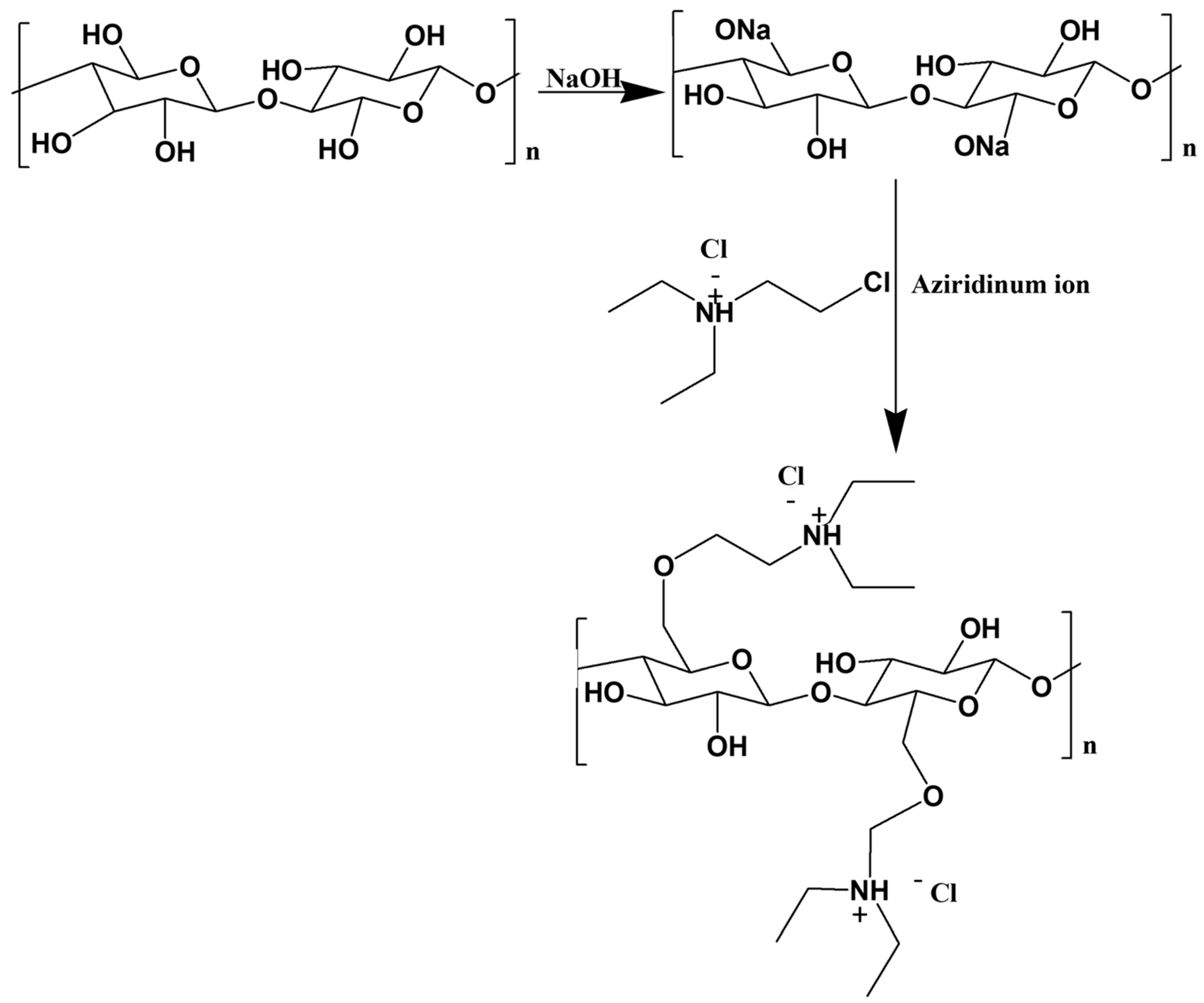 Polymers 15 03138 g010 Polymers 15 03138 g010