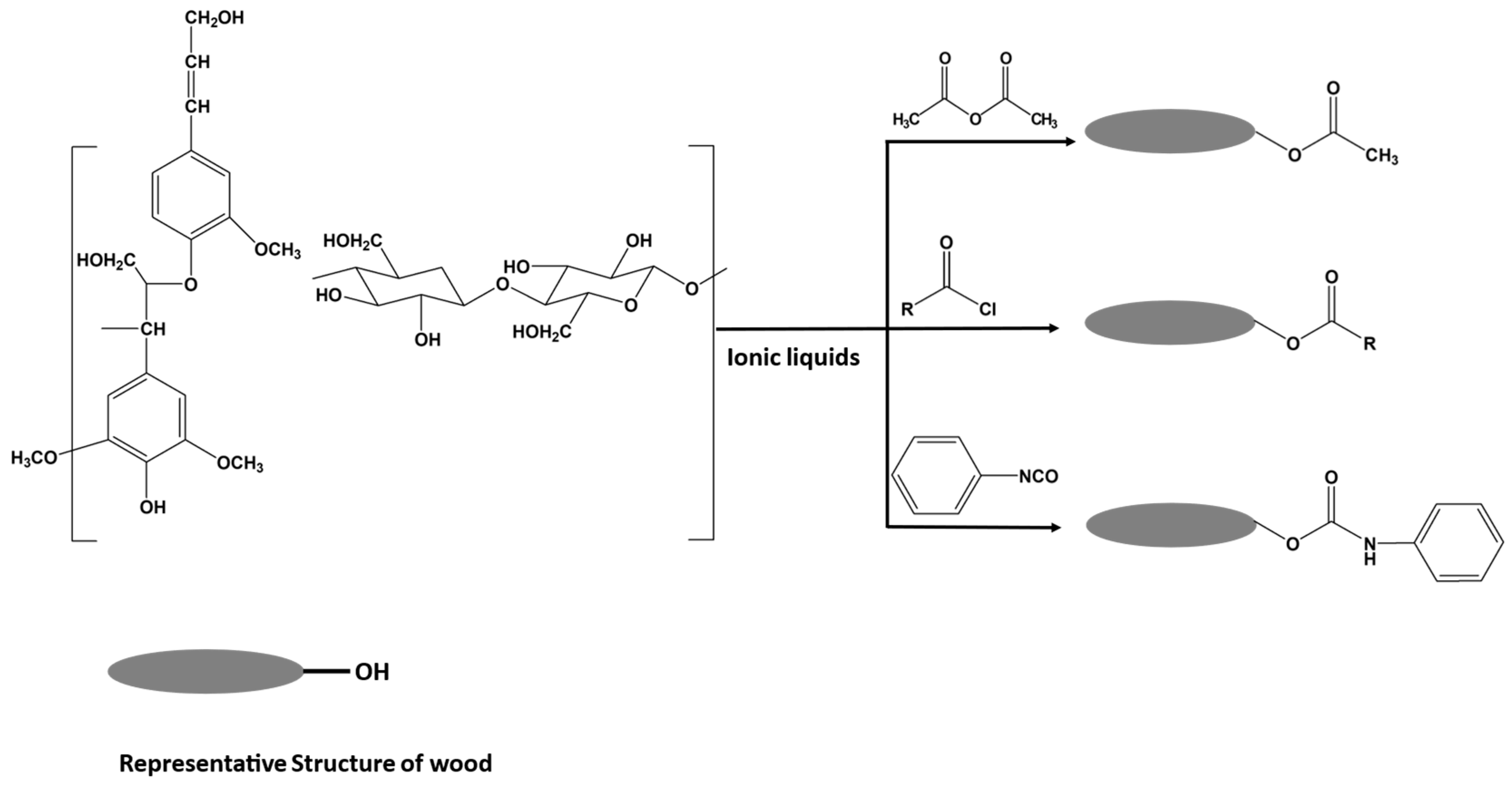 Polymers 15 03138 g014 Polymers 15 03138 g014