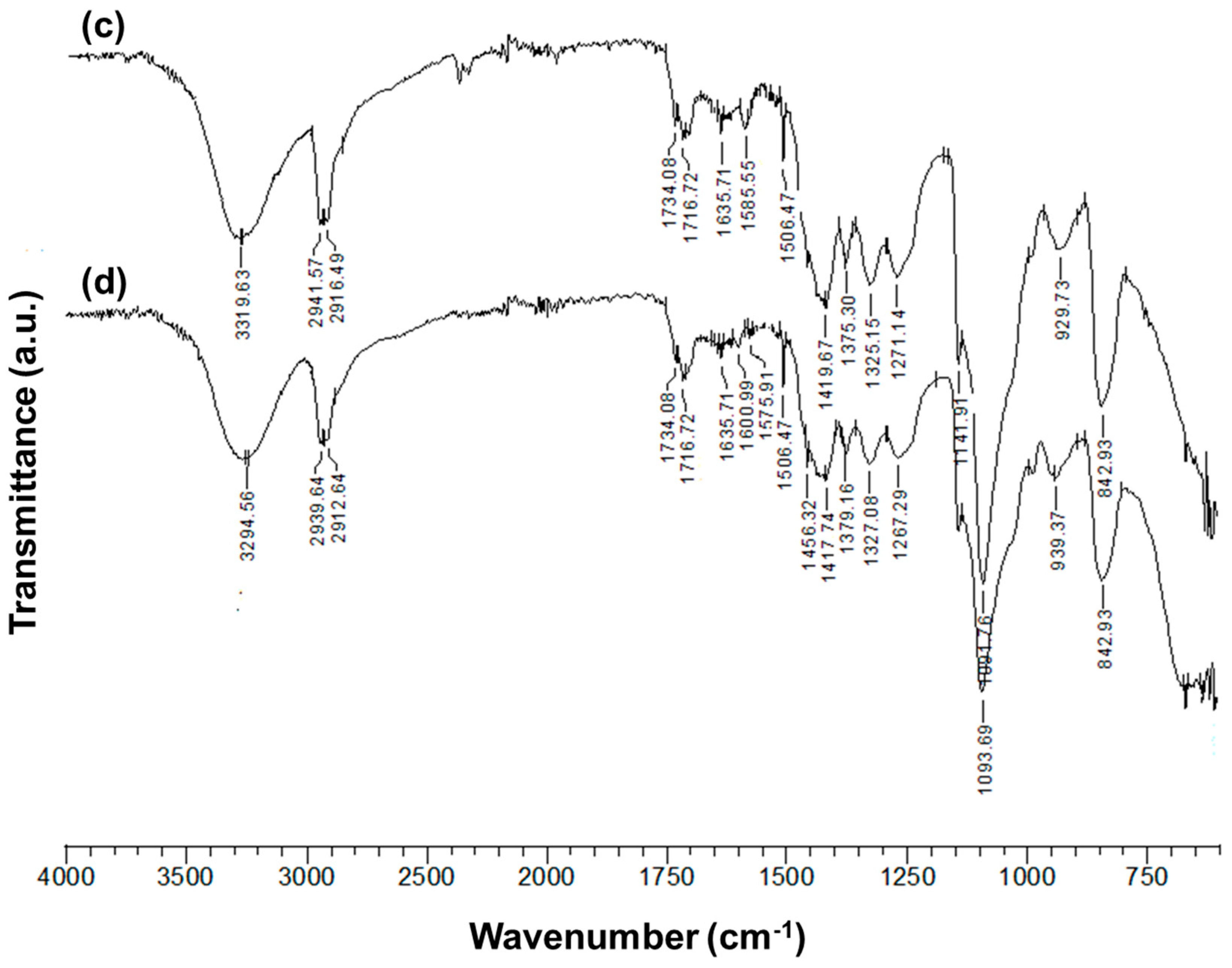 Polymers 15 03140 g003b