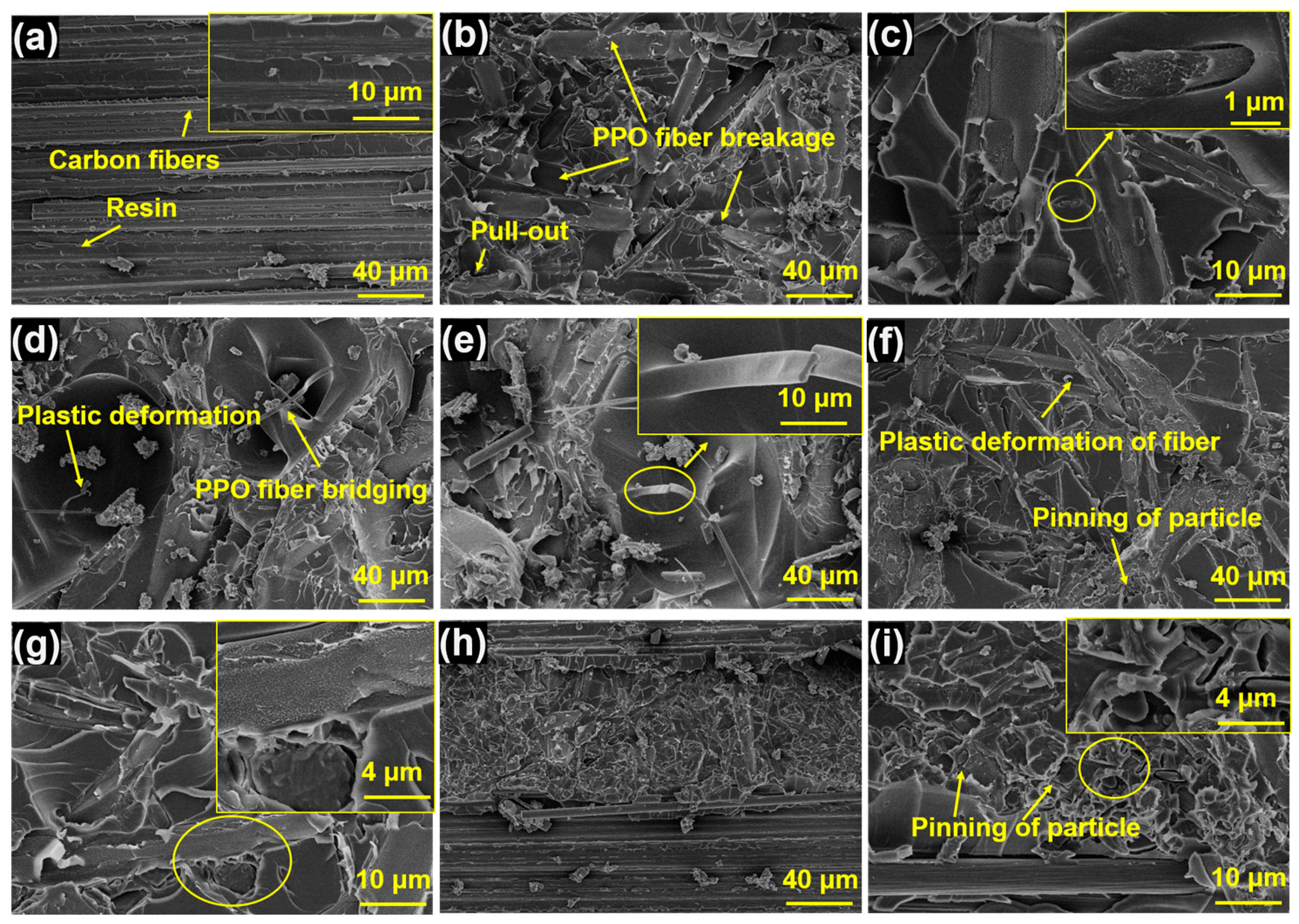 Polymers 15 03152 g007 Polymers 15 03152 g007