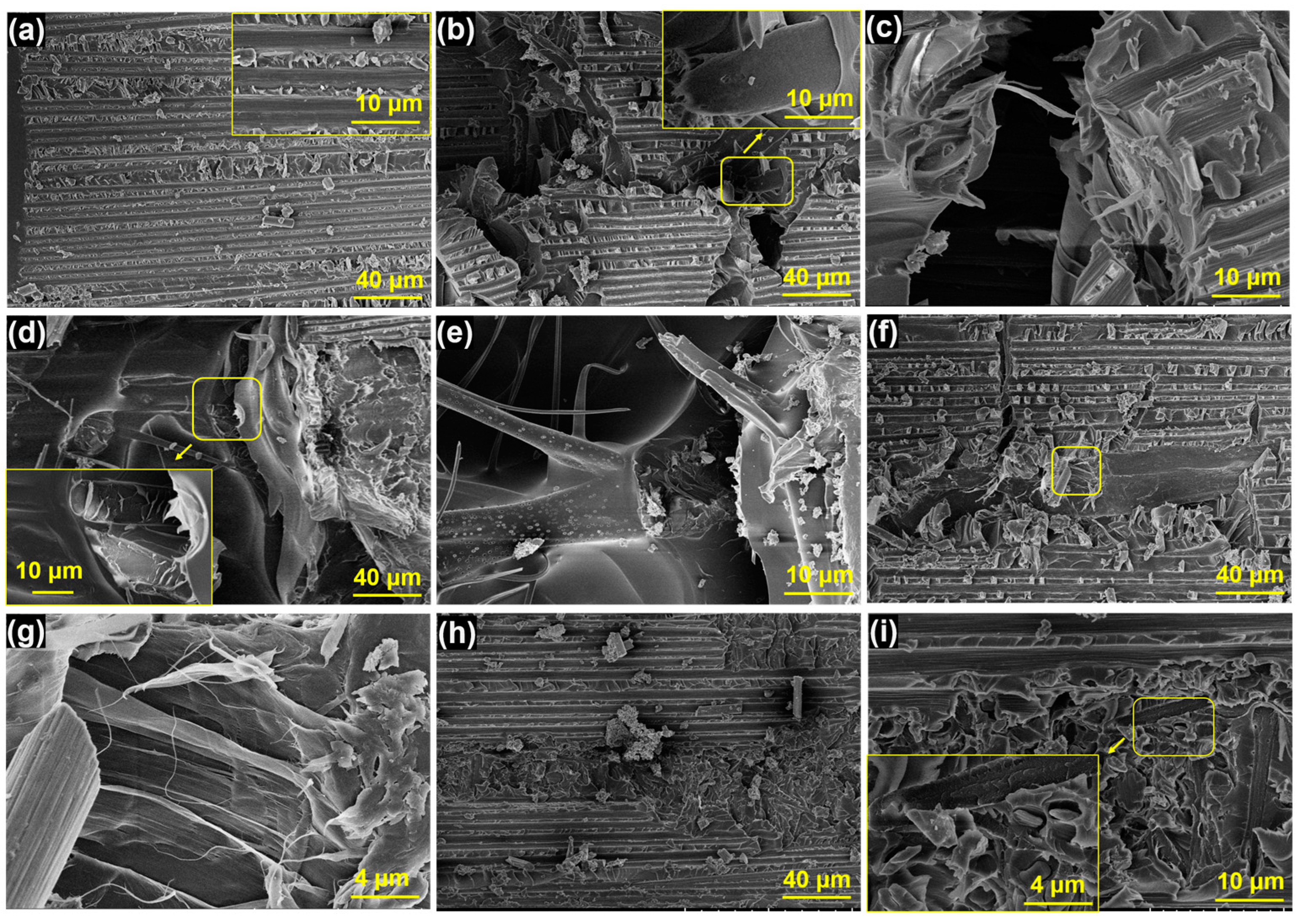 Polymers 15 03152 g009 Polymers 15 03152 g009