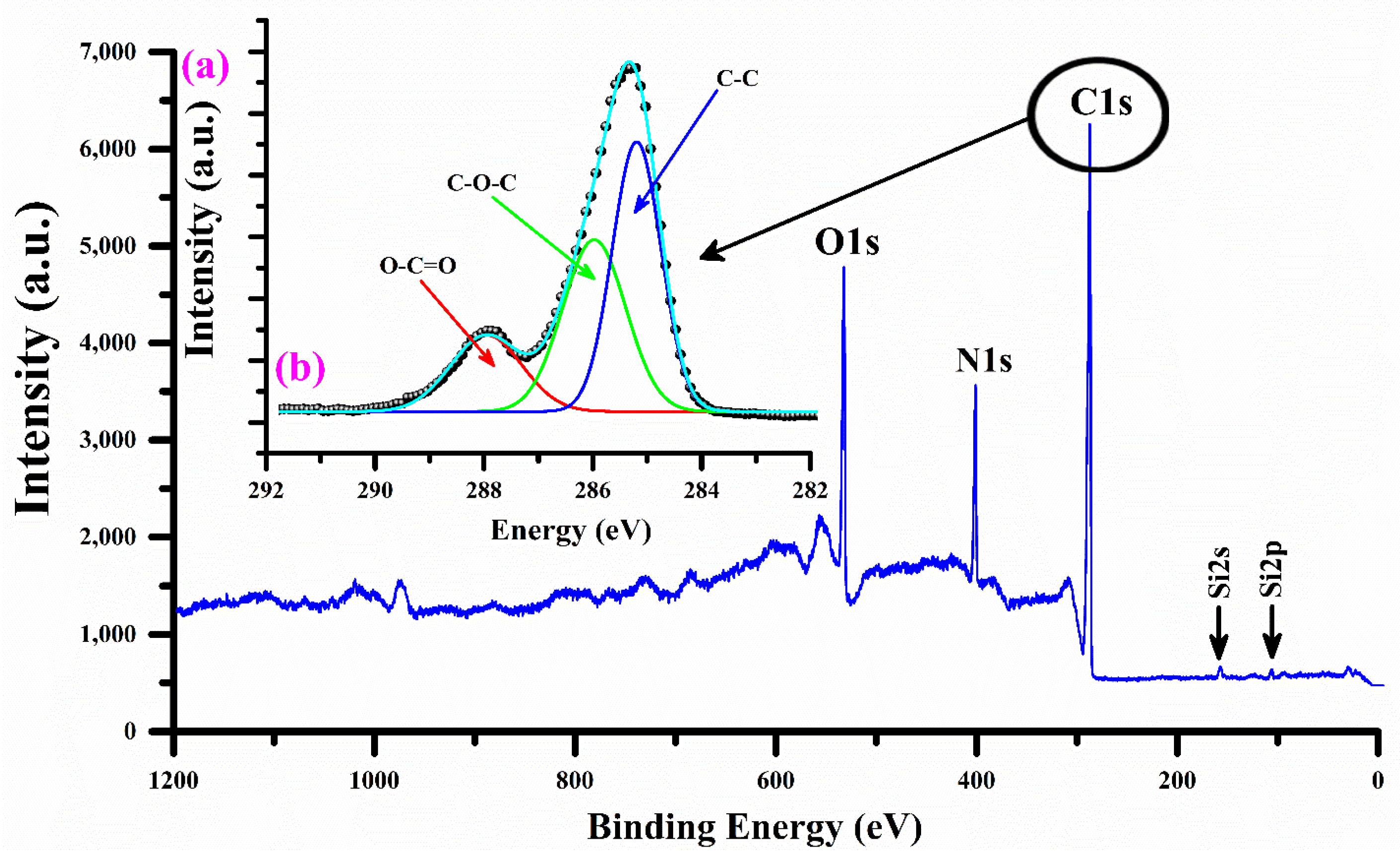 Polymers 15 03156 g008