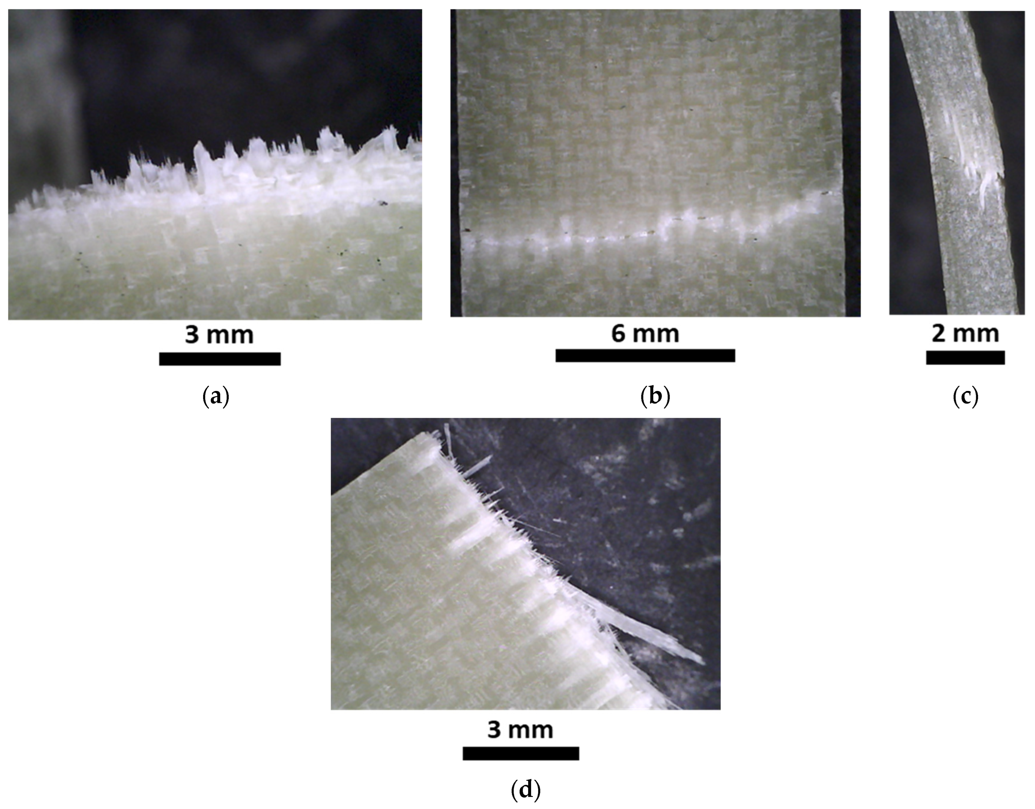 Polymers 15 03160 g010 Polymers 15 03160 g010