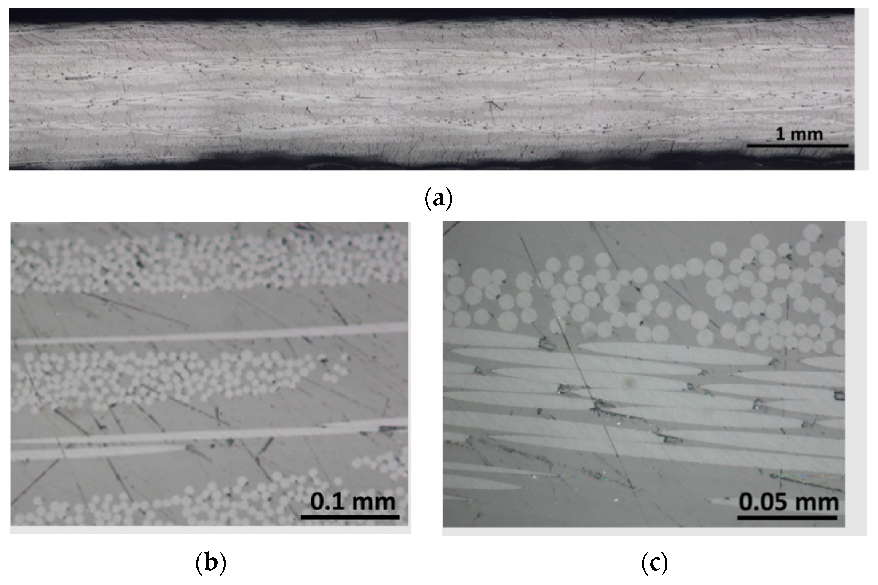 Polymers 15 03160 g011 Polymers 15 03160 g011