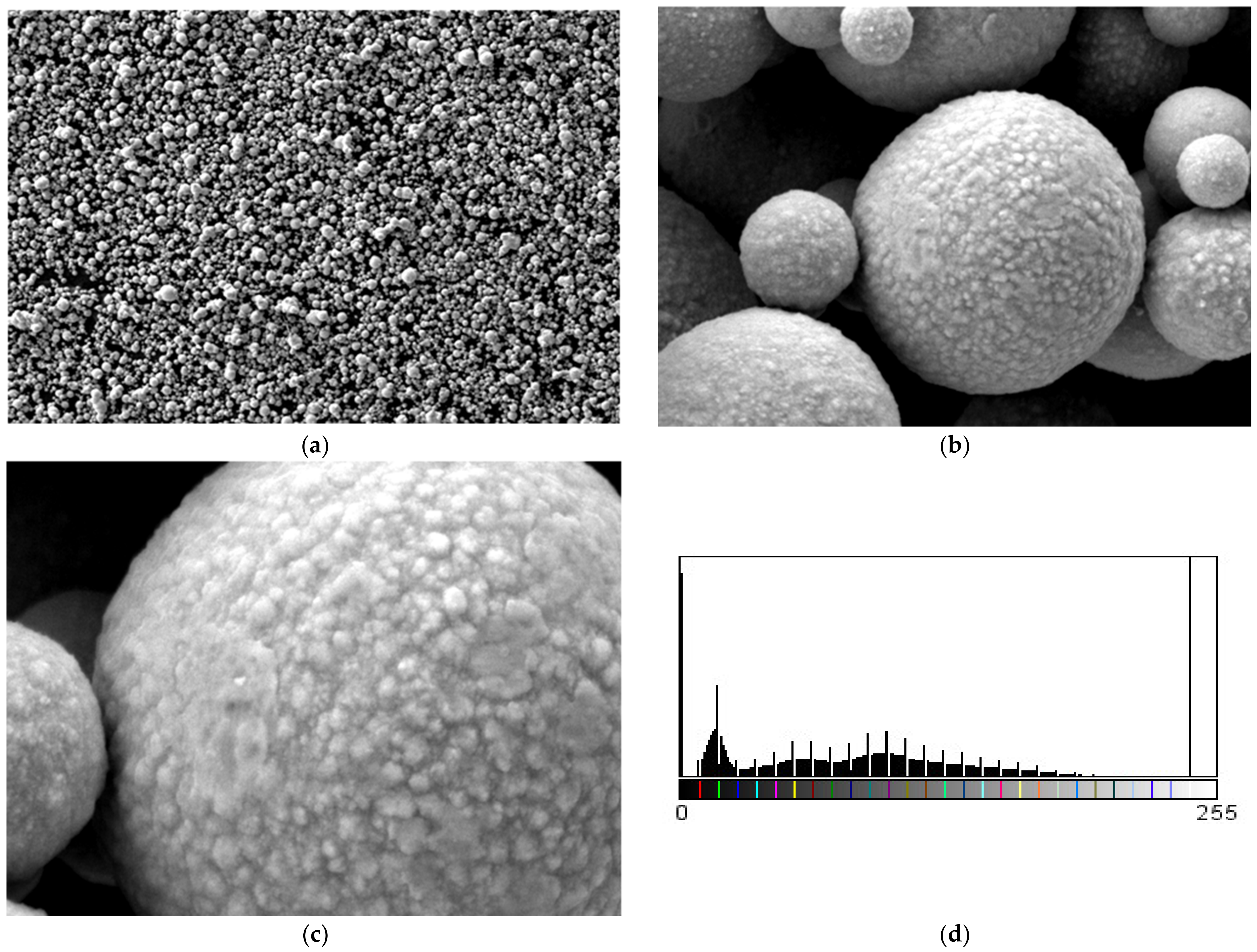 Polymers 15 03161 g010 Polymers 15 03161 g010