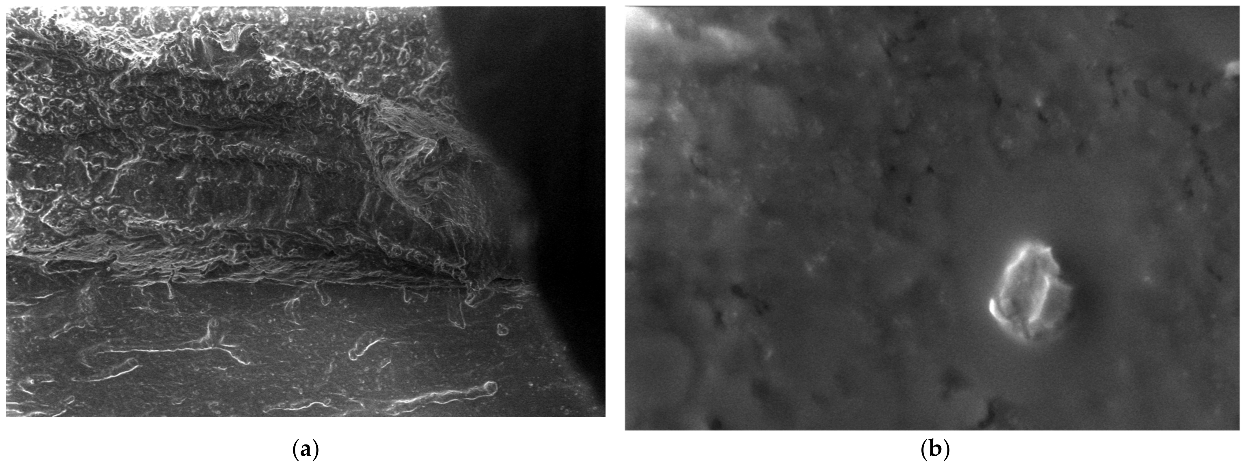 Polymers 15 03161 g012 Polymers 15 03161 g012
