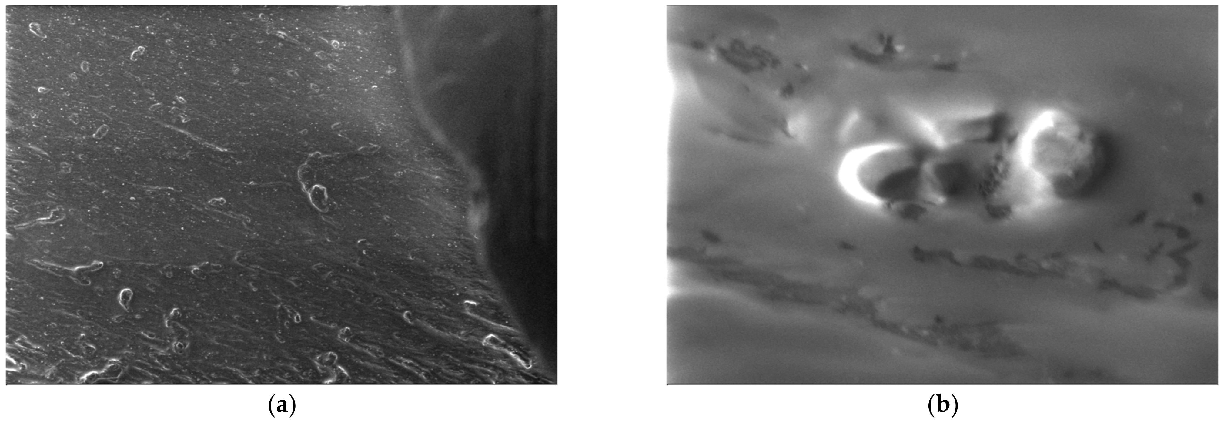 Polymers 15 03161 g013 Polymers 15 03161 g013