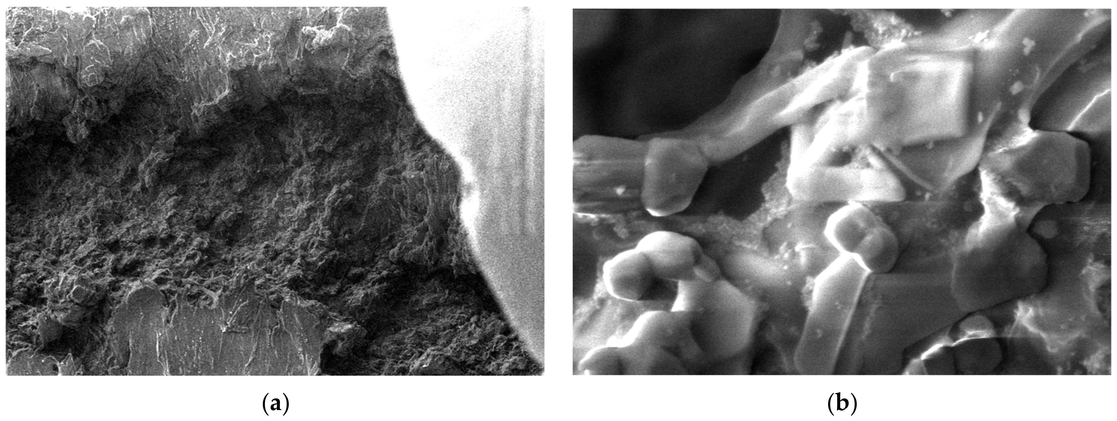 Polymers 15 03161 g014 Polymers 15 03161 g014