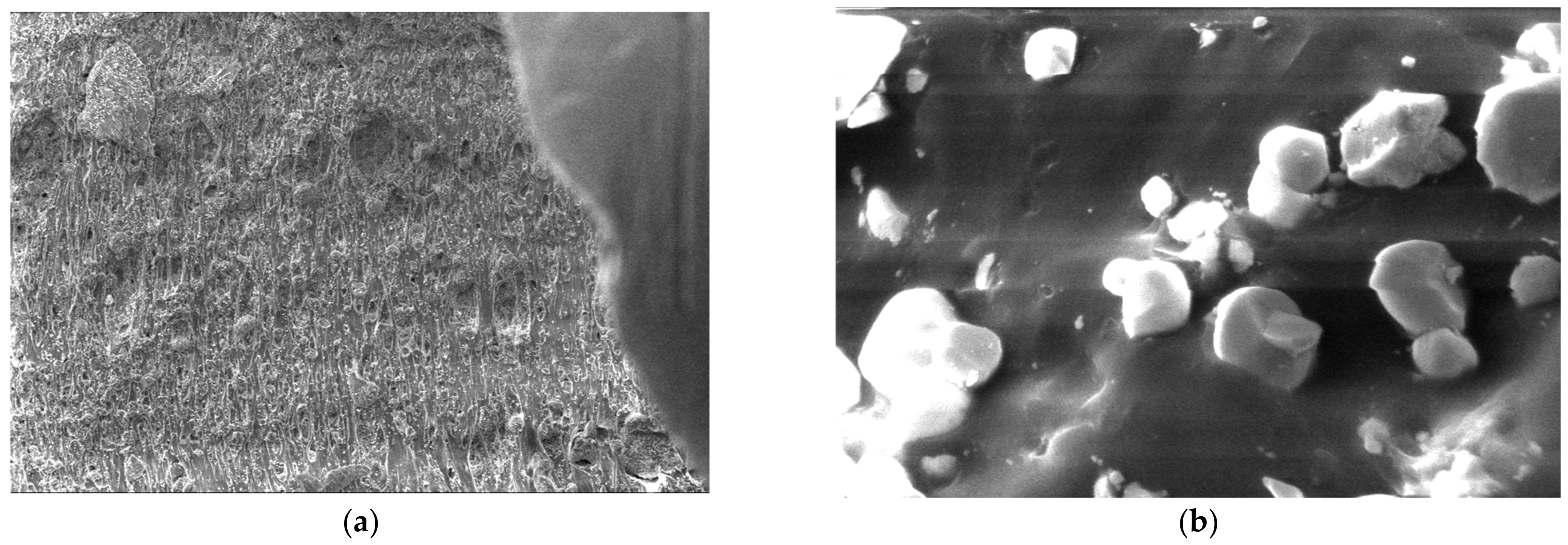Polymers 15 03161 g017 Polymers 15 03161 g017
