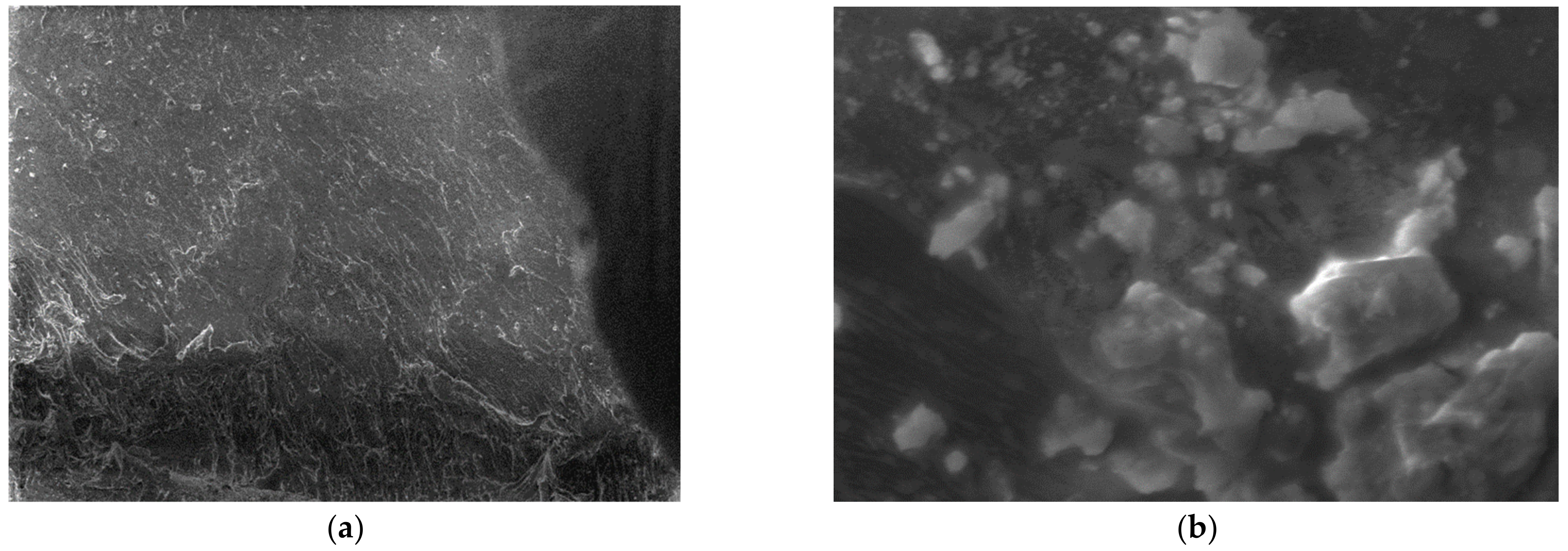 Polymers 15 03161 g018 Polymers 15 03161 g018