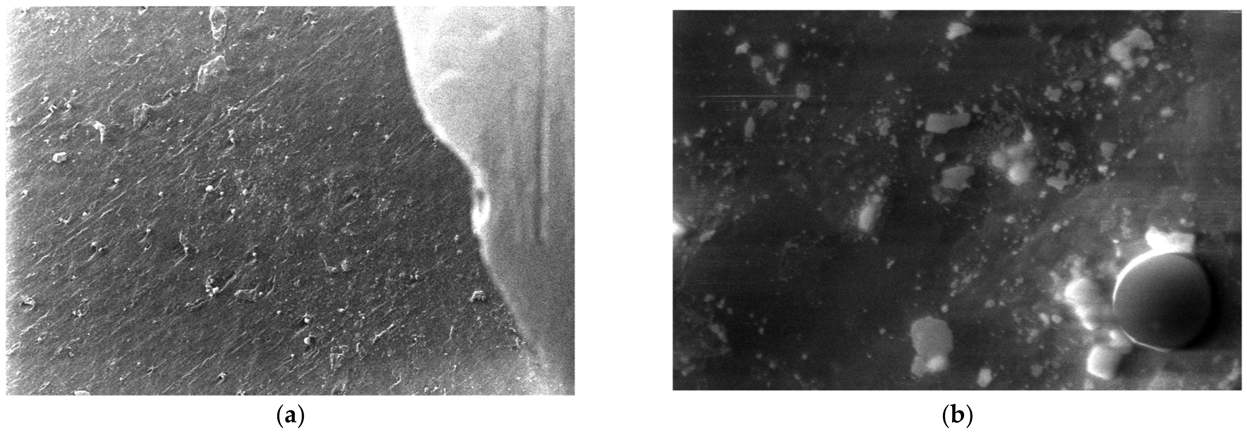 Polymers 15 03161 g019 Polymers 15 03161 g019