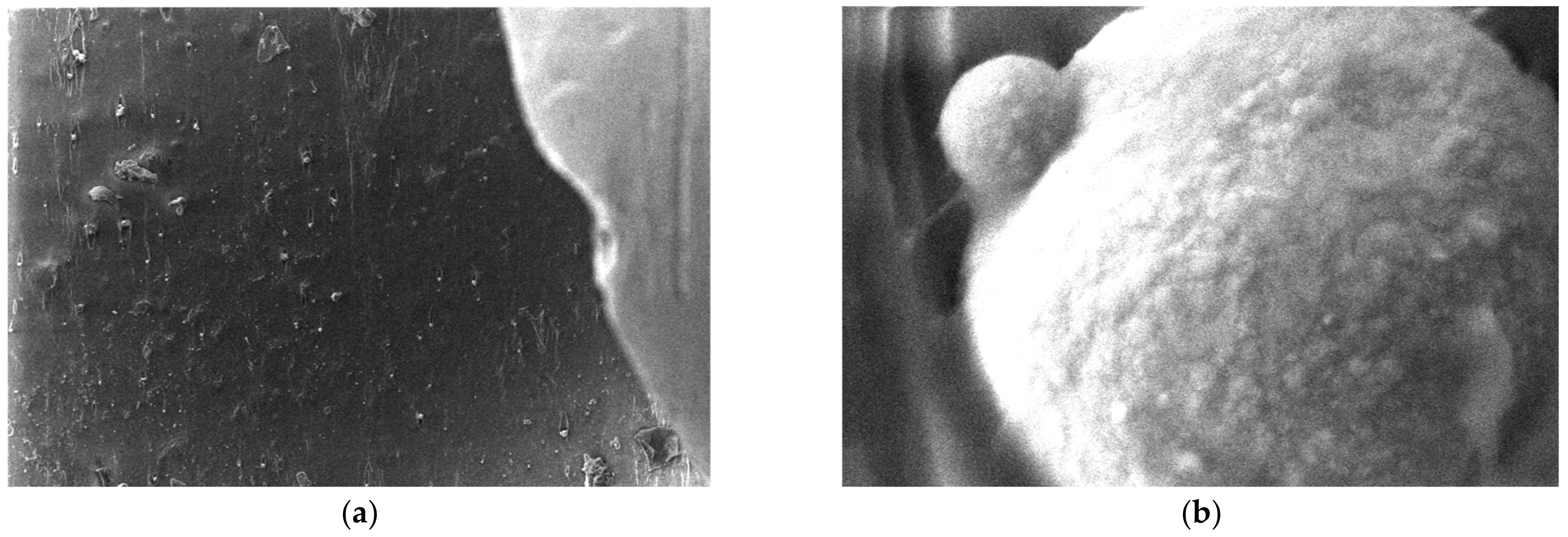 Polymers 15 03161 g021 Polymers 15 03161 g021