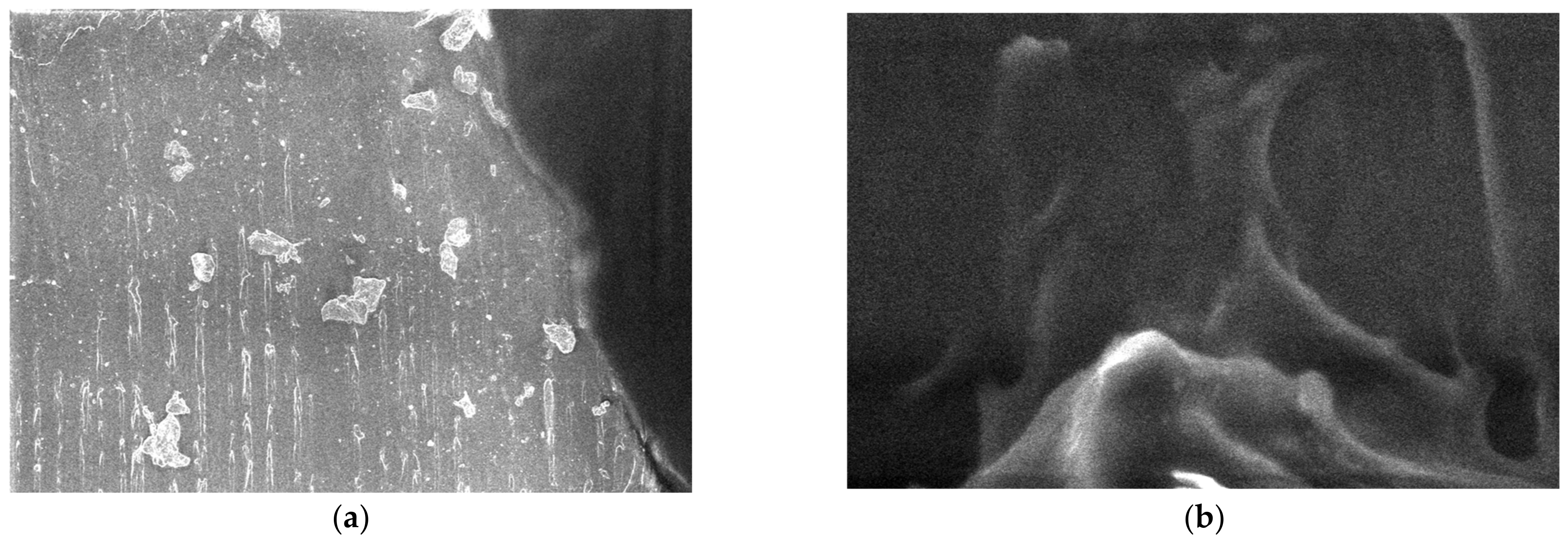 Polymers 15 03161 g022 Polymers 15 03161 g022