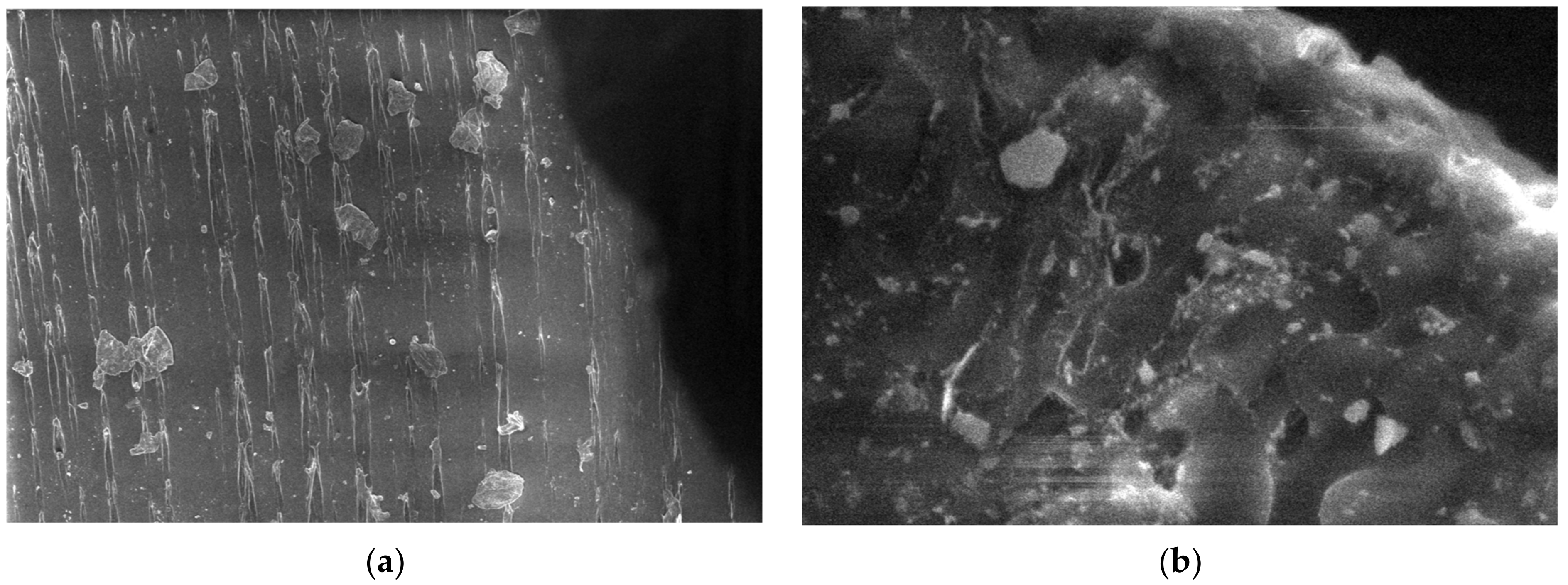 Polymers 15 03161 g023 Polymers 15 03161 g023