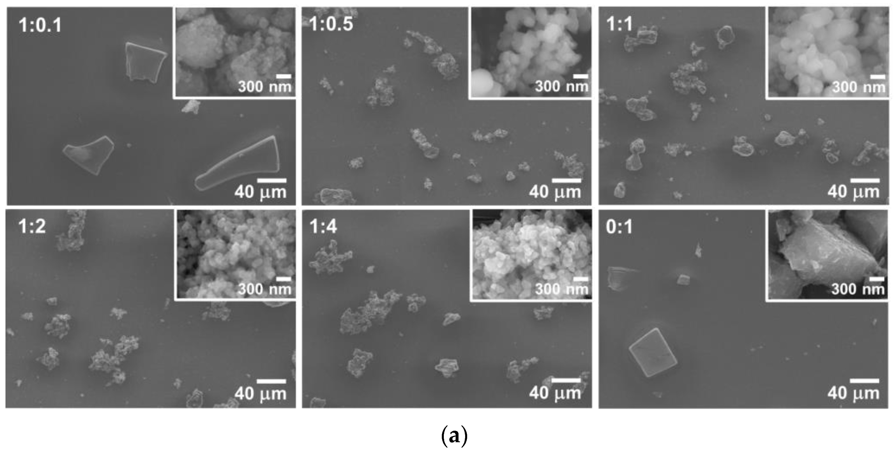 Polymers 15 03162 g003a Polymers 15 03162 g003a