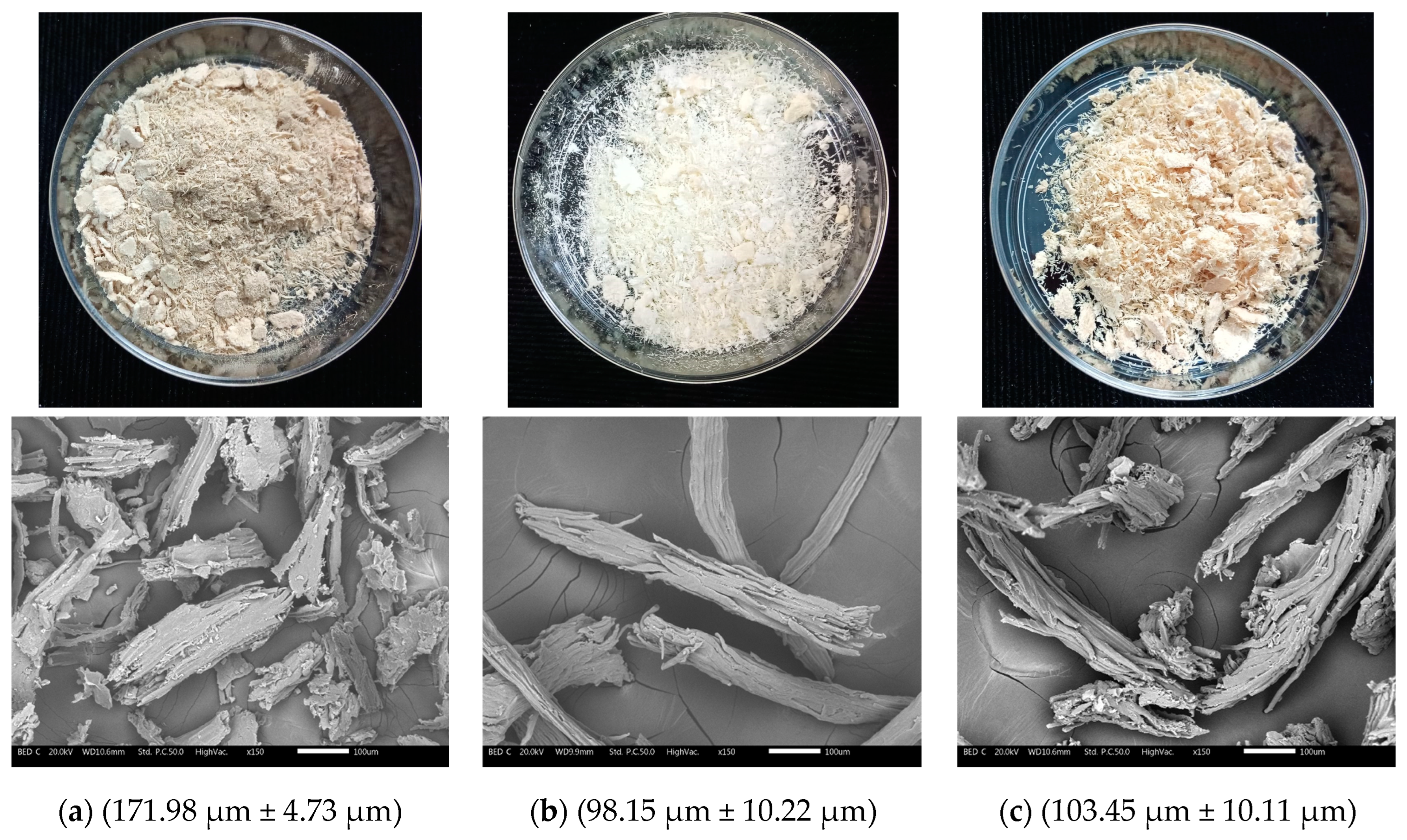Polymers 15 03163 g005 Polymers 15 03163 g005