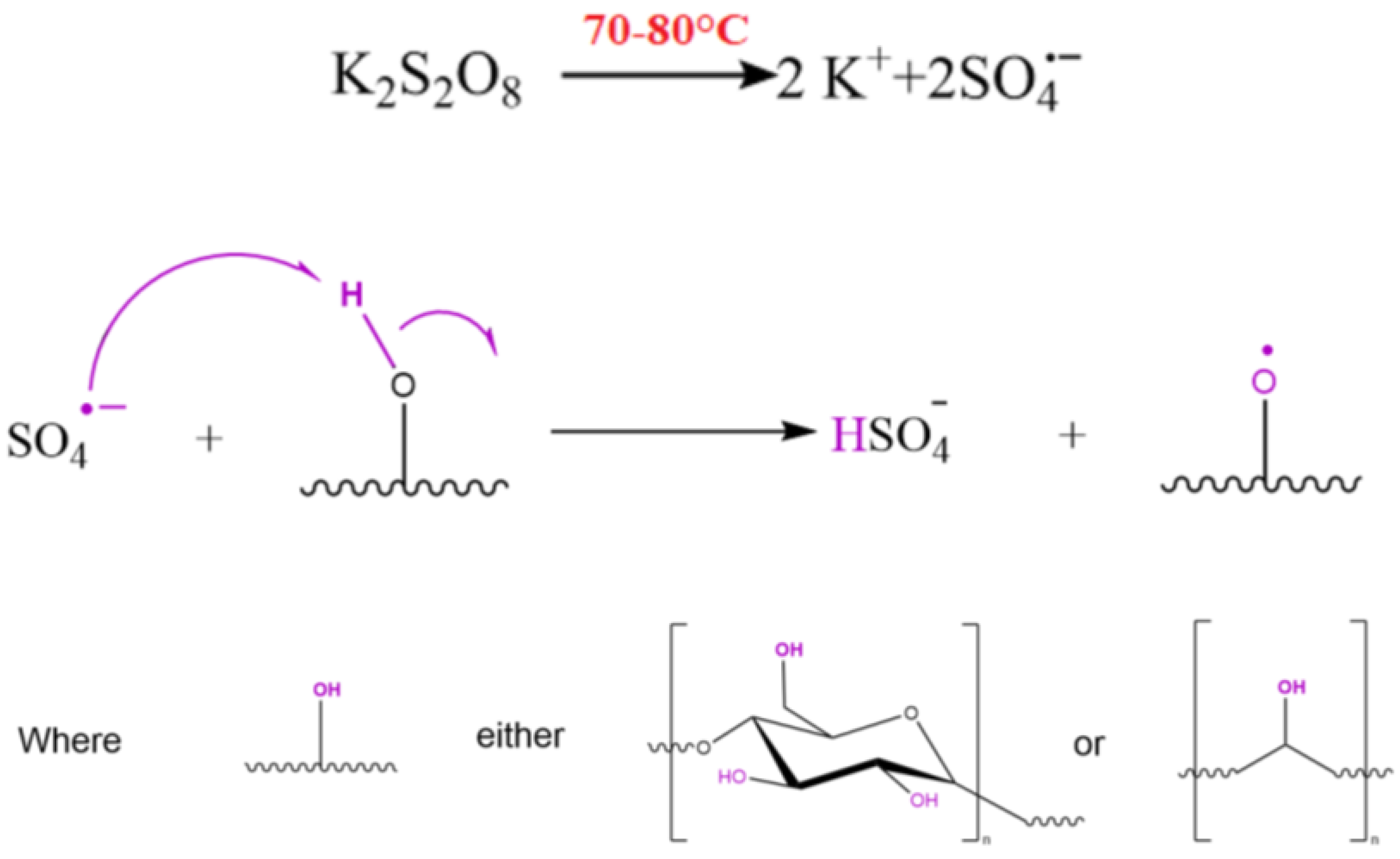 Polymers 15 03165 g001