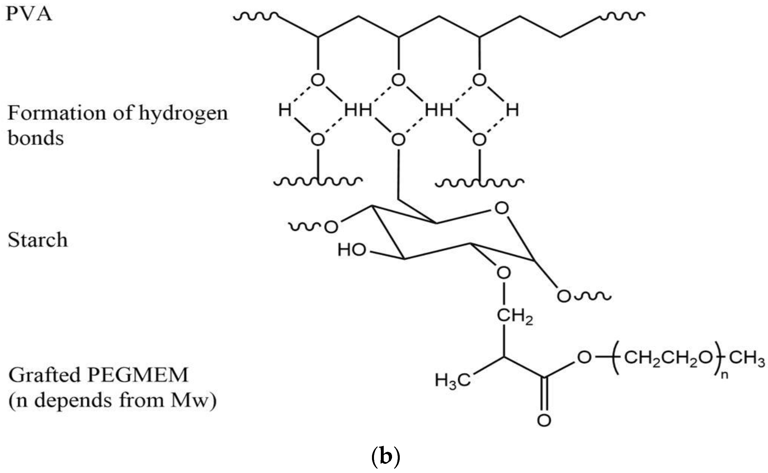 Polymers 15 03165 g002b