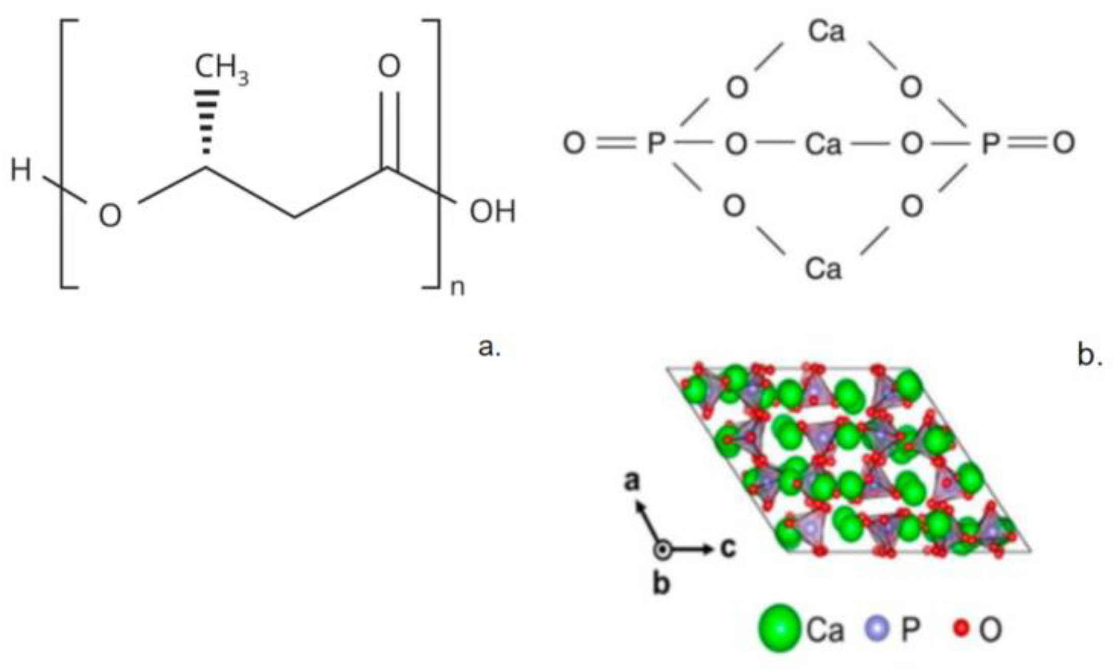 Polymers 15 03167 g001